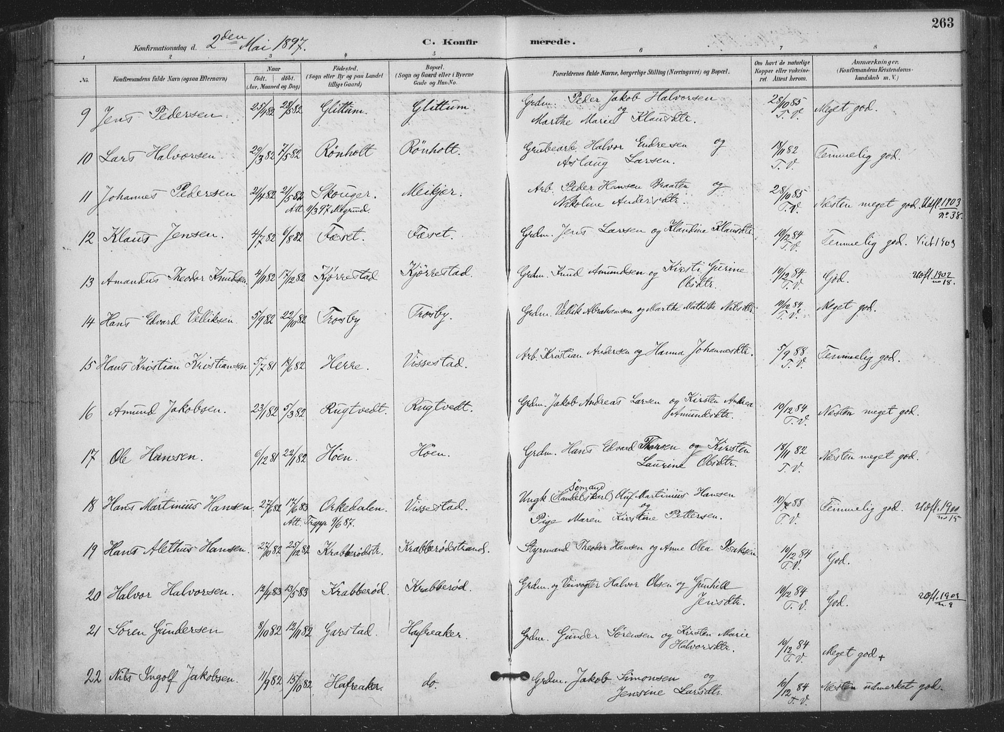 Bamble kirkebøker, AV/SAKO-A-253/F/Fa/L0008: Parish register (official) no. I 8, 1888-1900, p. 263