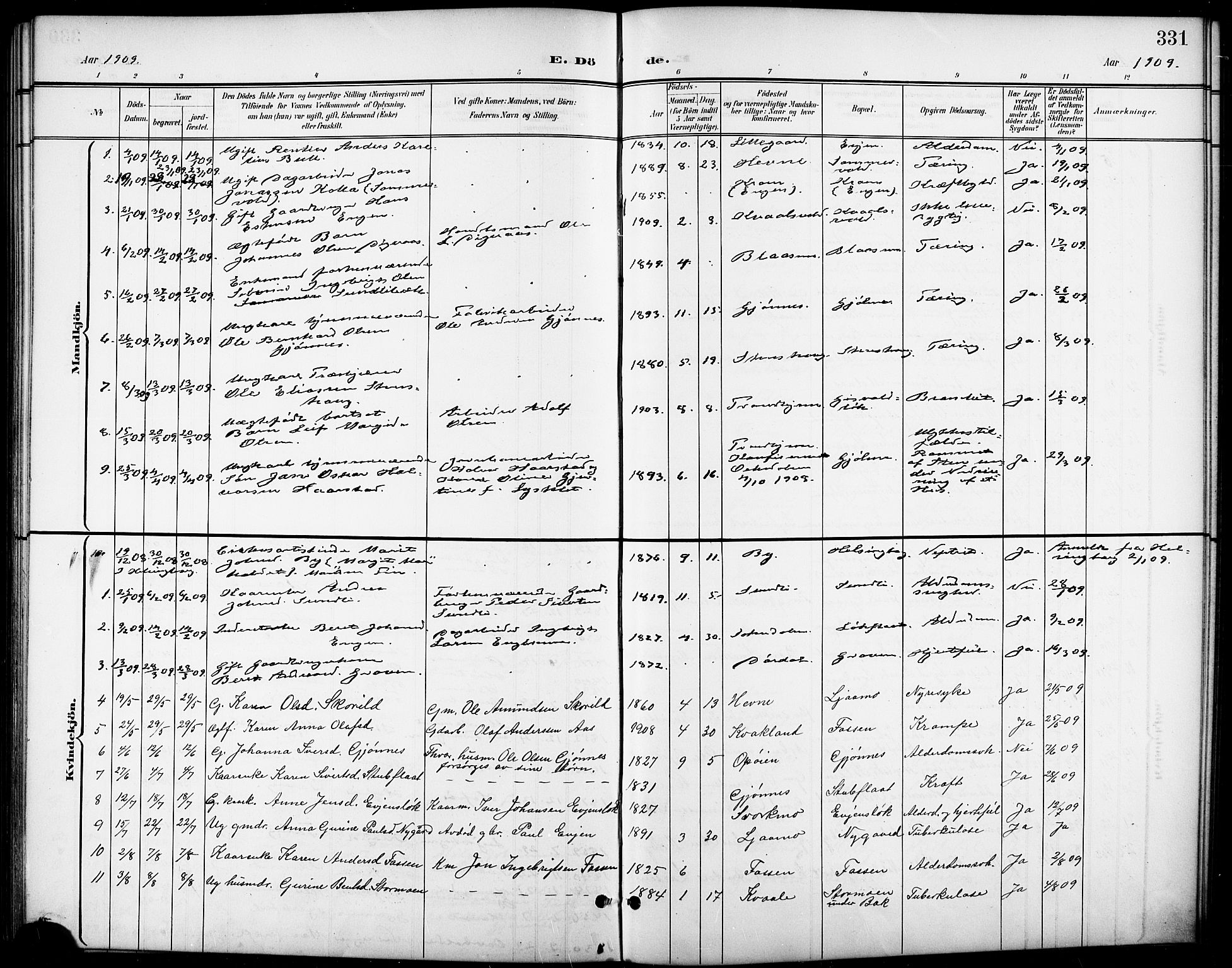 Ministerialprotokoller, klokkerbøker og fødselsregistre - Sør-Trøndelag, SAT/A-1456/668/L0819: Parish register (copy) no. 668C08, 1899-1912, p. 331