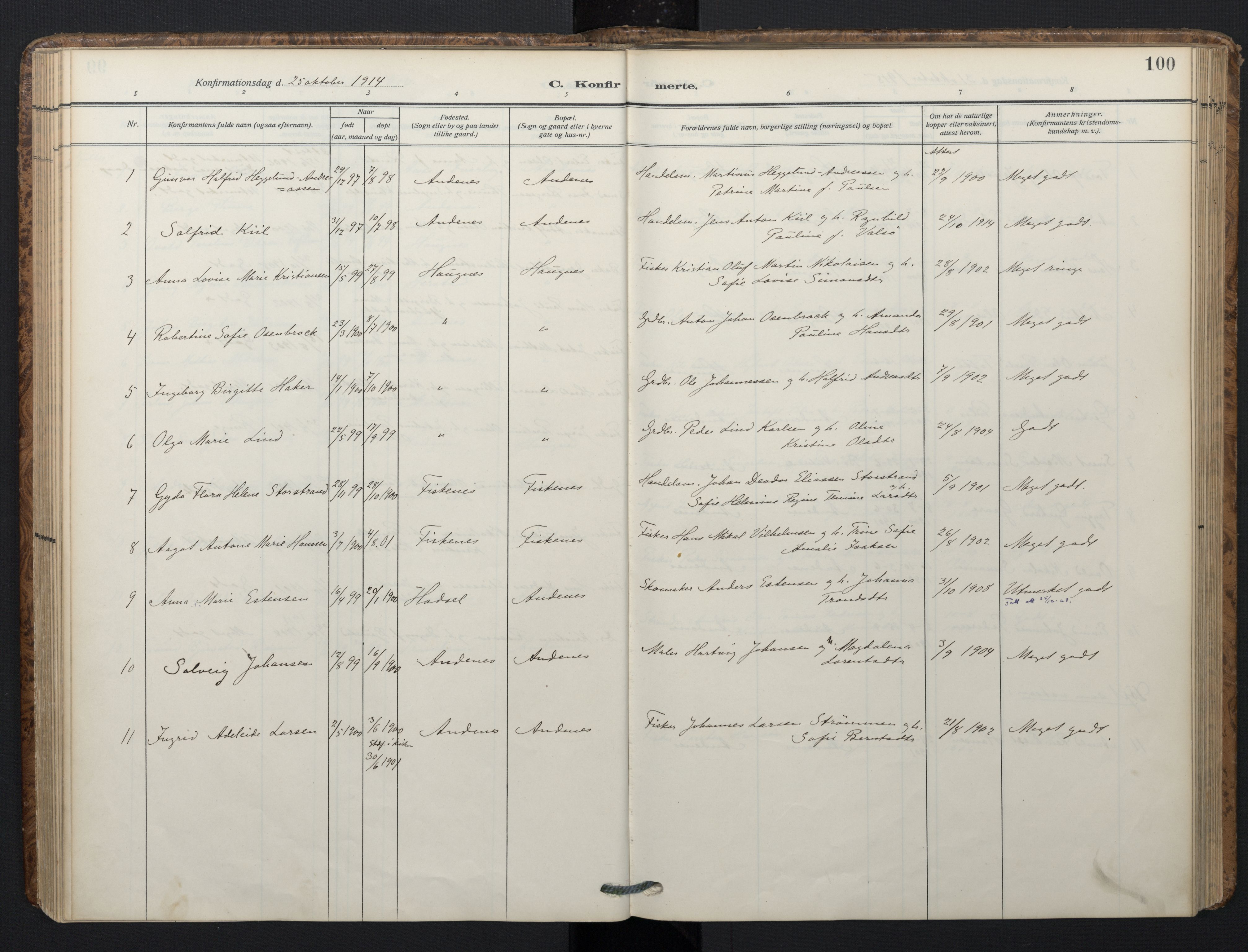 Ministerialprotokoller, klokkerbøker og fødselsregistre - Nordland, AV/SAT-A-1459/899/L1438: Parish register (official) no. 899A06, 1909-1922, p. 100