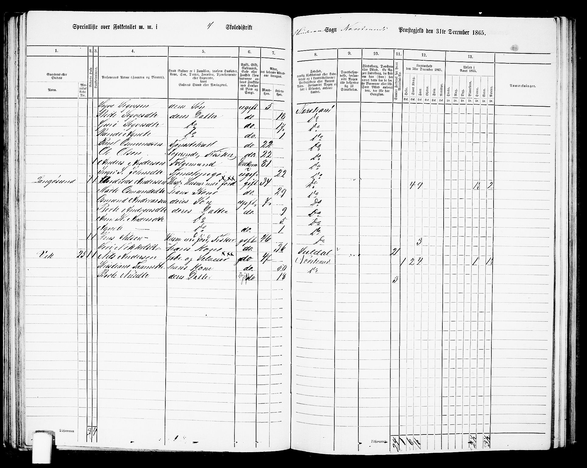 RA, 1865 census for Nedstrand, 1865, p. 63