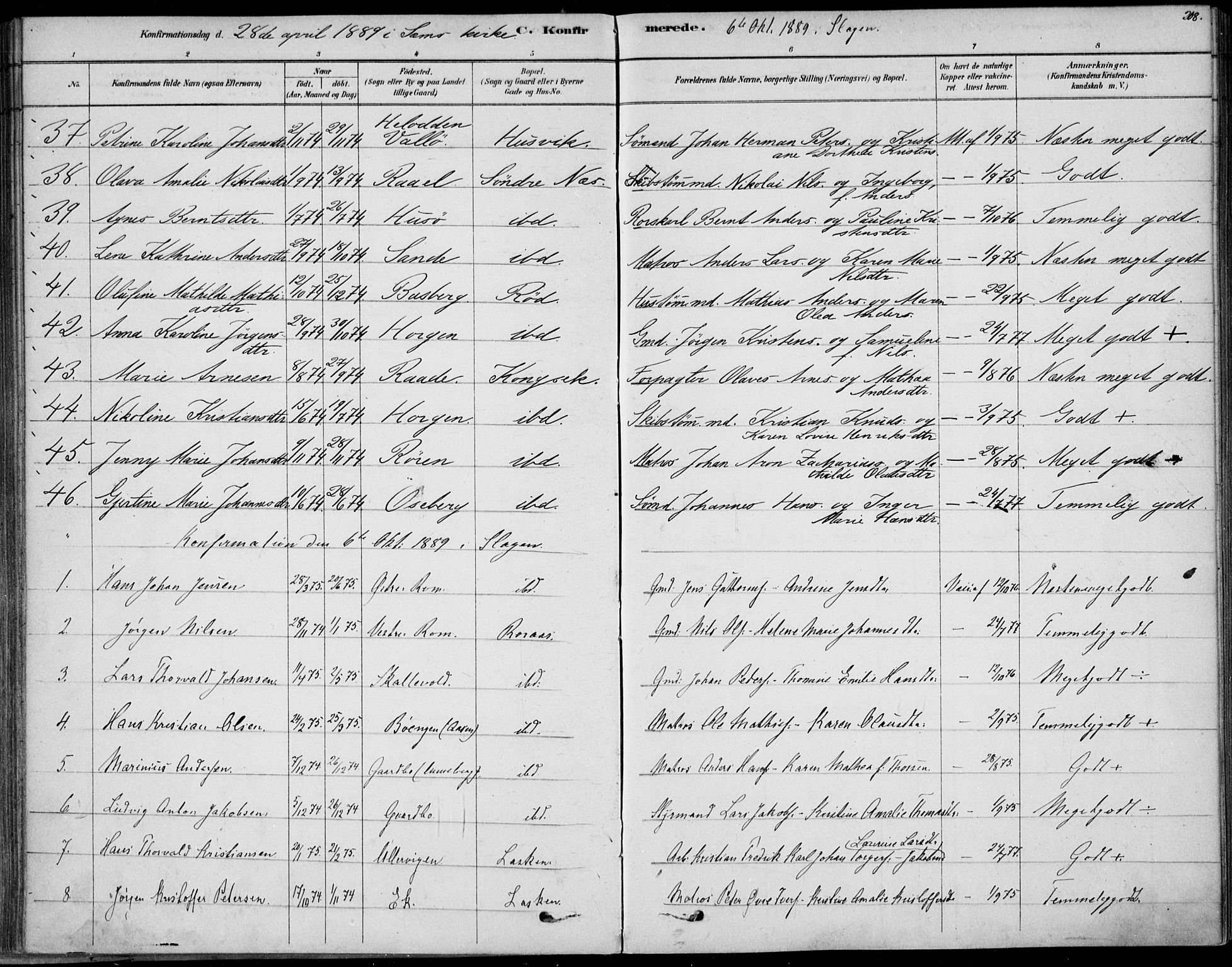 Sem kirkebøker, AV/SAKO-A-5/F/Fb/L0004: Parish register (official) no. II 4, 1878-1891, p. 208