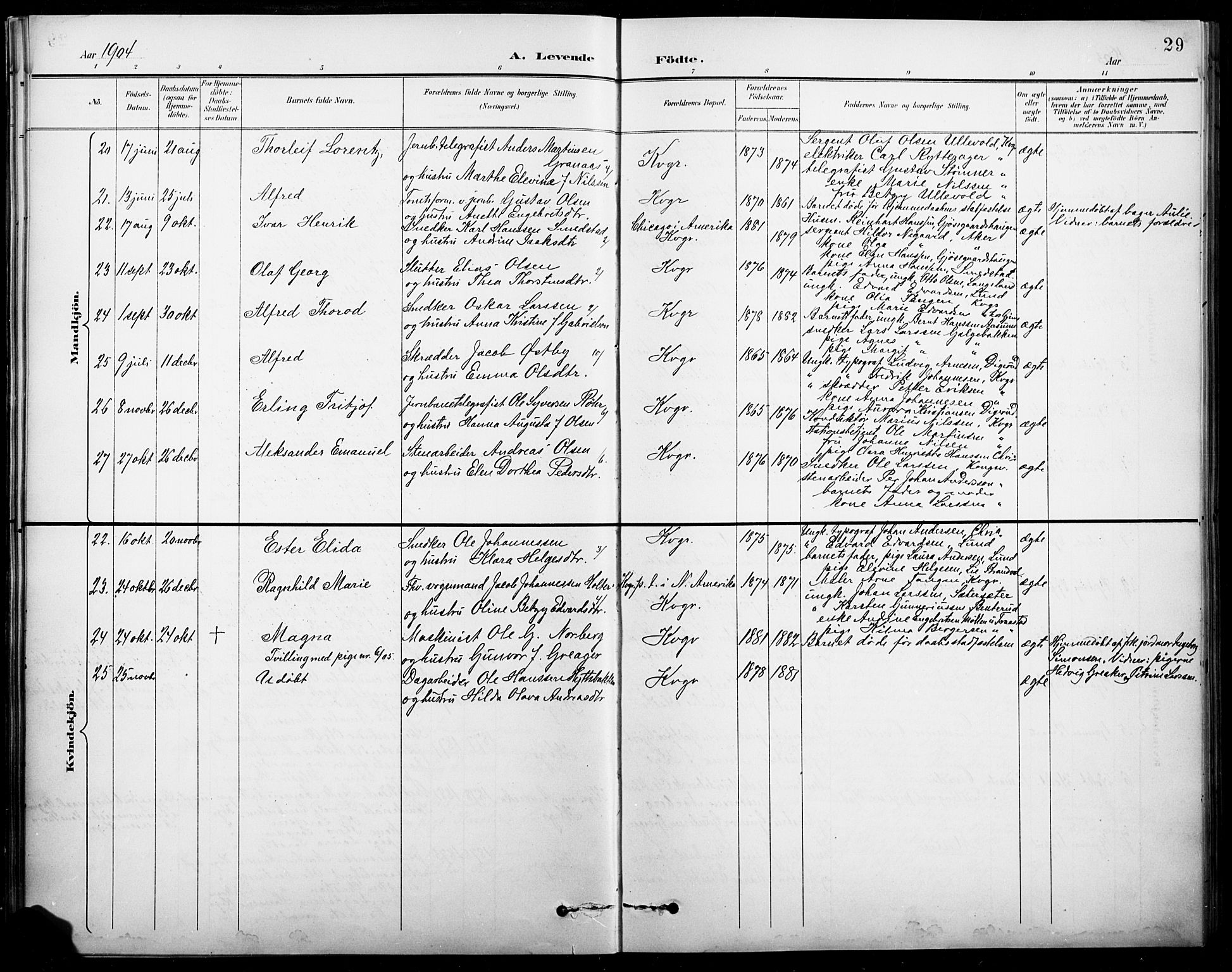 Vinger prestekontor, AV/SAH-PREST-024/H/Ha/Hab/L0005: Parish register (copy) no. 5, 1895-1920, p. 29