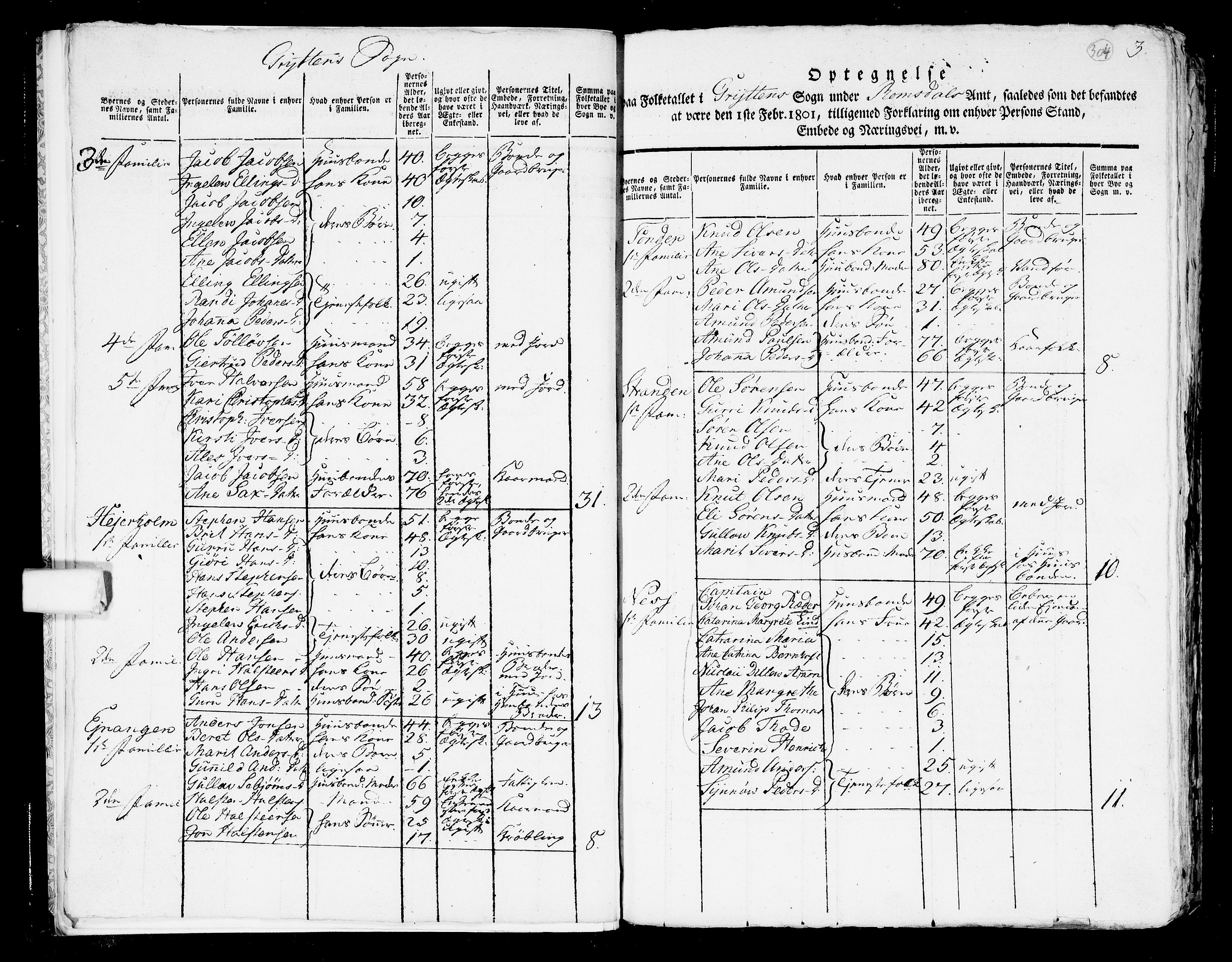 RA, 1801 census for 1539P Grytten, 1801, p. 303b-304a