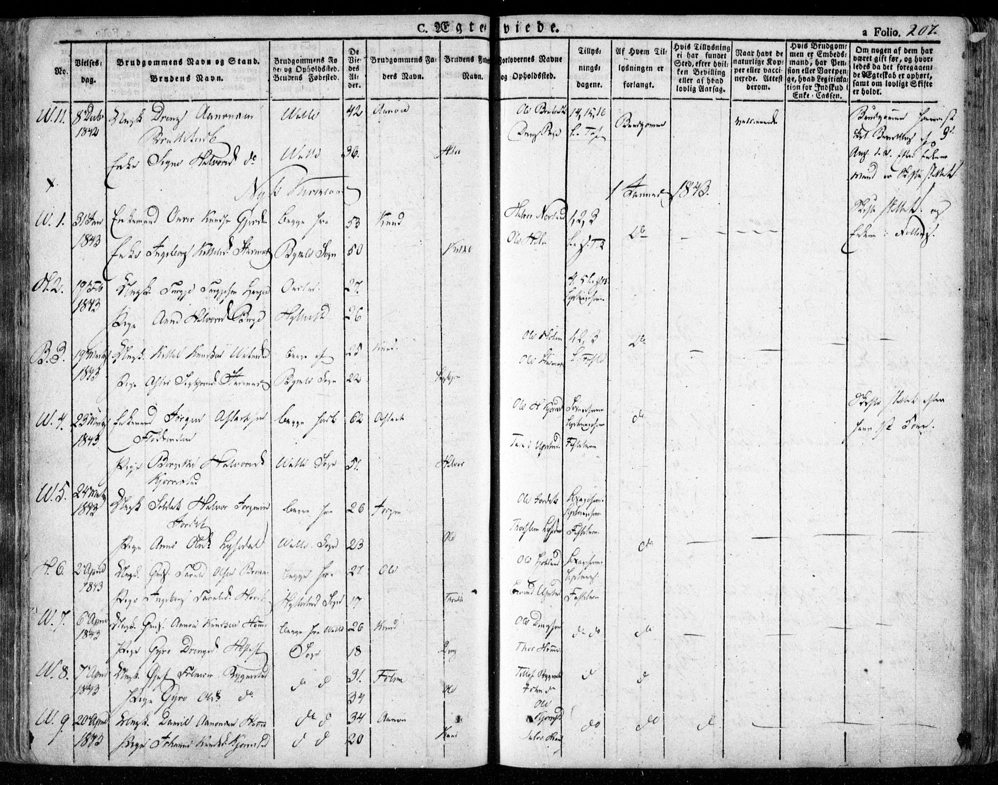 Valle sokneprestkontor, SAK/1111-0044/F/Fa/Fac/L0006: Parish register (official) no. A 6, 1831-1853, p. 207