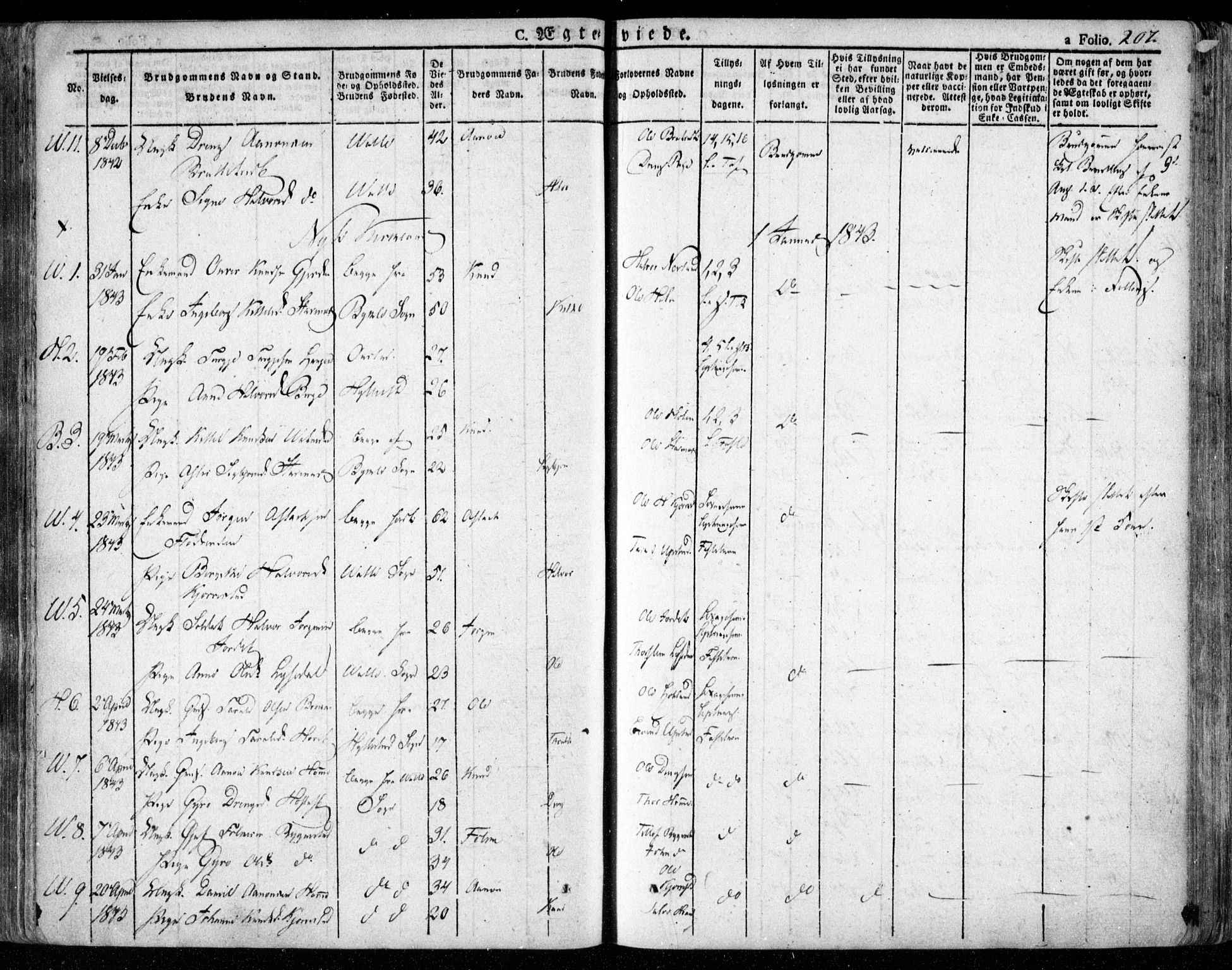 Valle sokneprestkontor, AV/SAK-1111-0044/F/Fa/Fac/L0006: Parish register (official) no. A 6, 1831-1853, p. 207