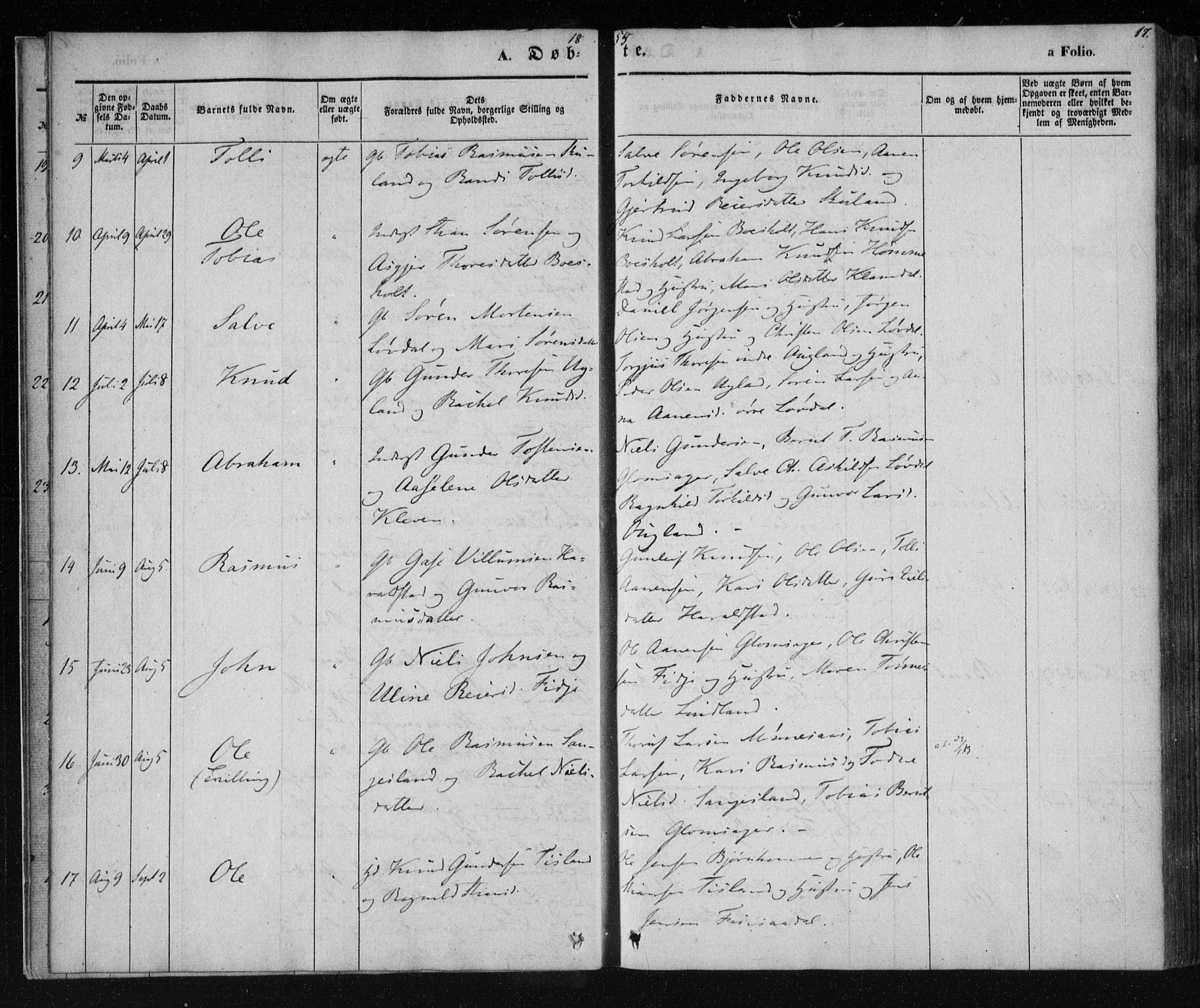 Holum sokneprestkontor, SAK/1111-0022/F/Fa/Fab/L0005: Parish register (official) no. A 5, 1847-1874, p. 17