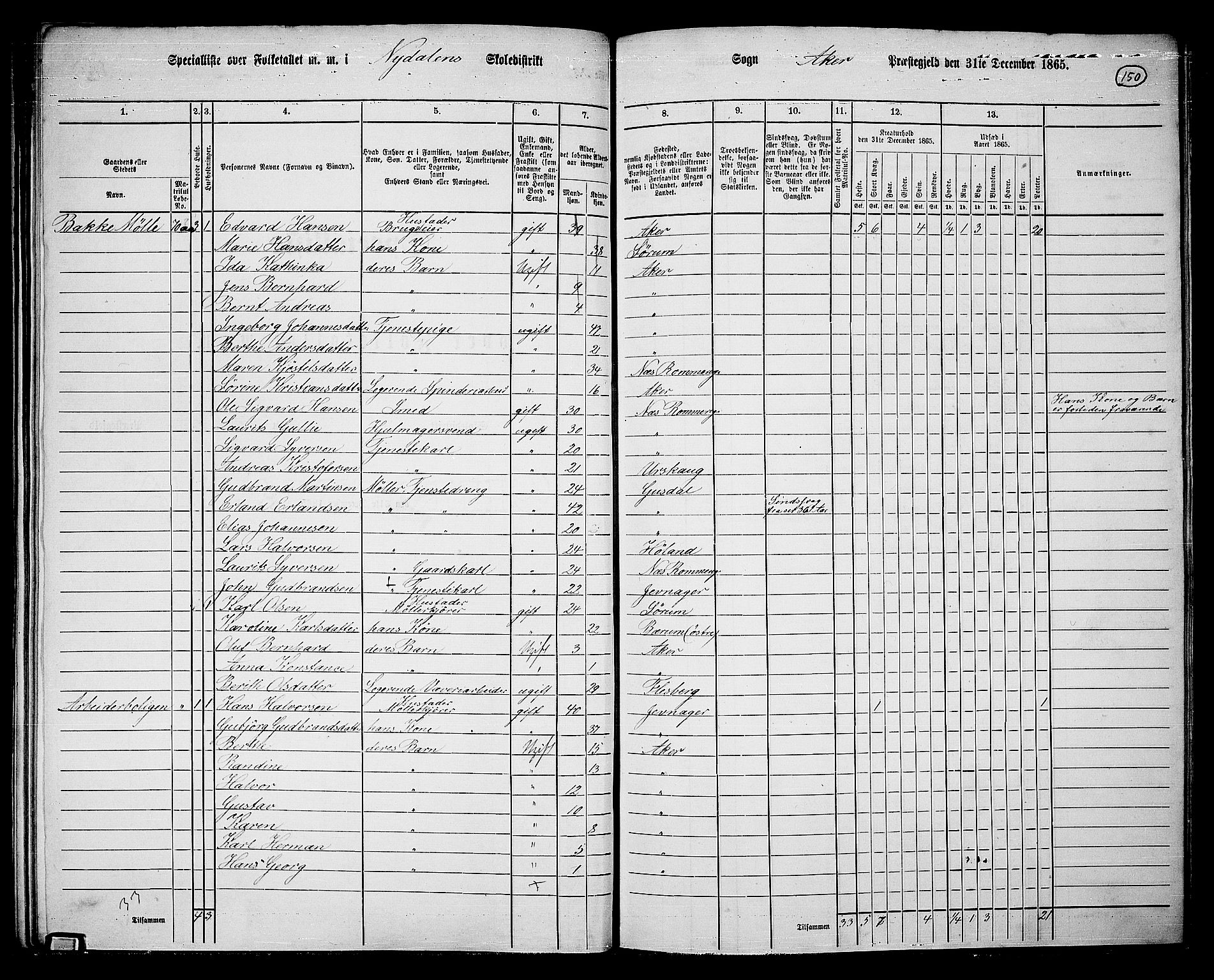 RA, 1865 census for Vestre Aker, 1865, p. 133