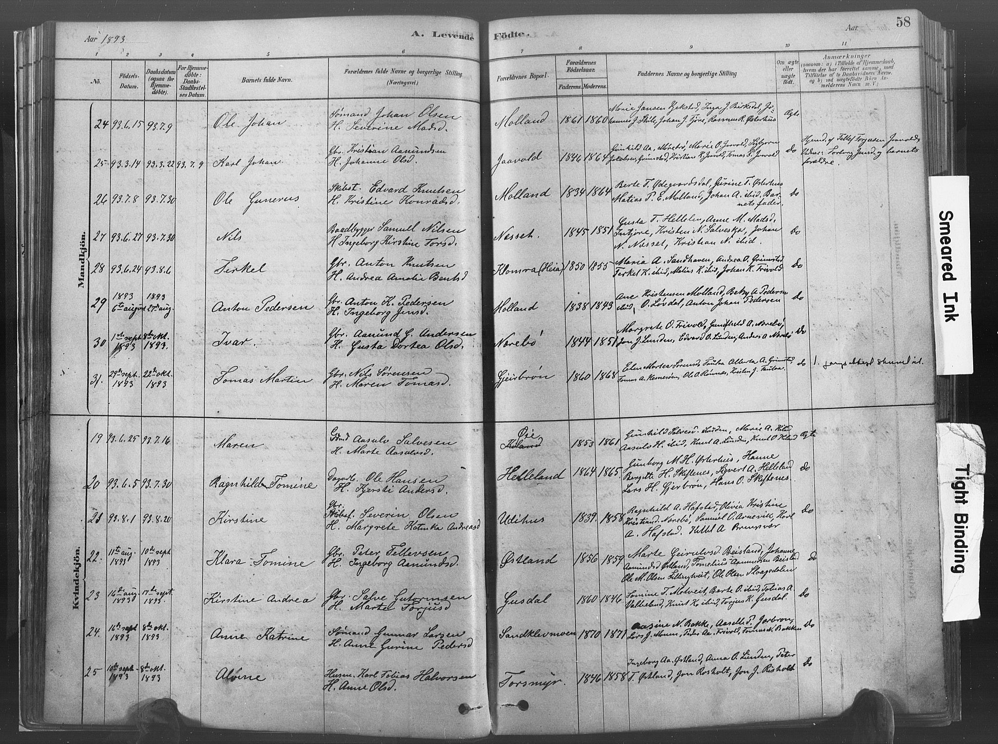 Hommedal sokneprestkontor, AV/SAK-1111-0023/F/Fa/Fab/L0006: Parish register (official) no. A 6, 1878-1897, p. 58