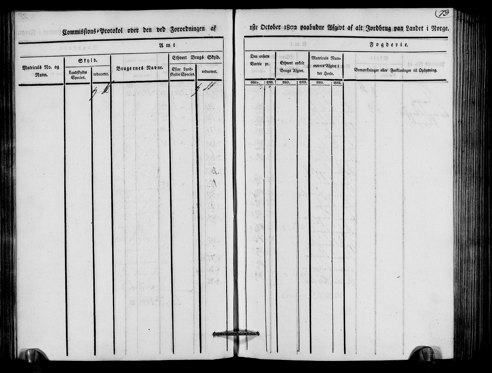 Rentekammeret inntil 1814, Realistisk ordnet avdeling, AV/RA-EA-4070/N/Ne/Nea/L0079: Nedenes fogderi. Kommisjonsprotokoll "Nr. 2", for Strengereid skipreide, 1803, p. 73