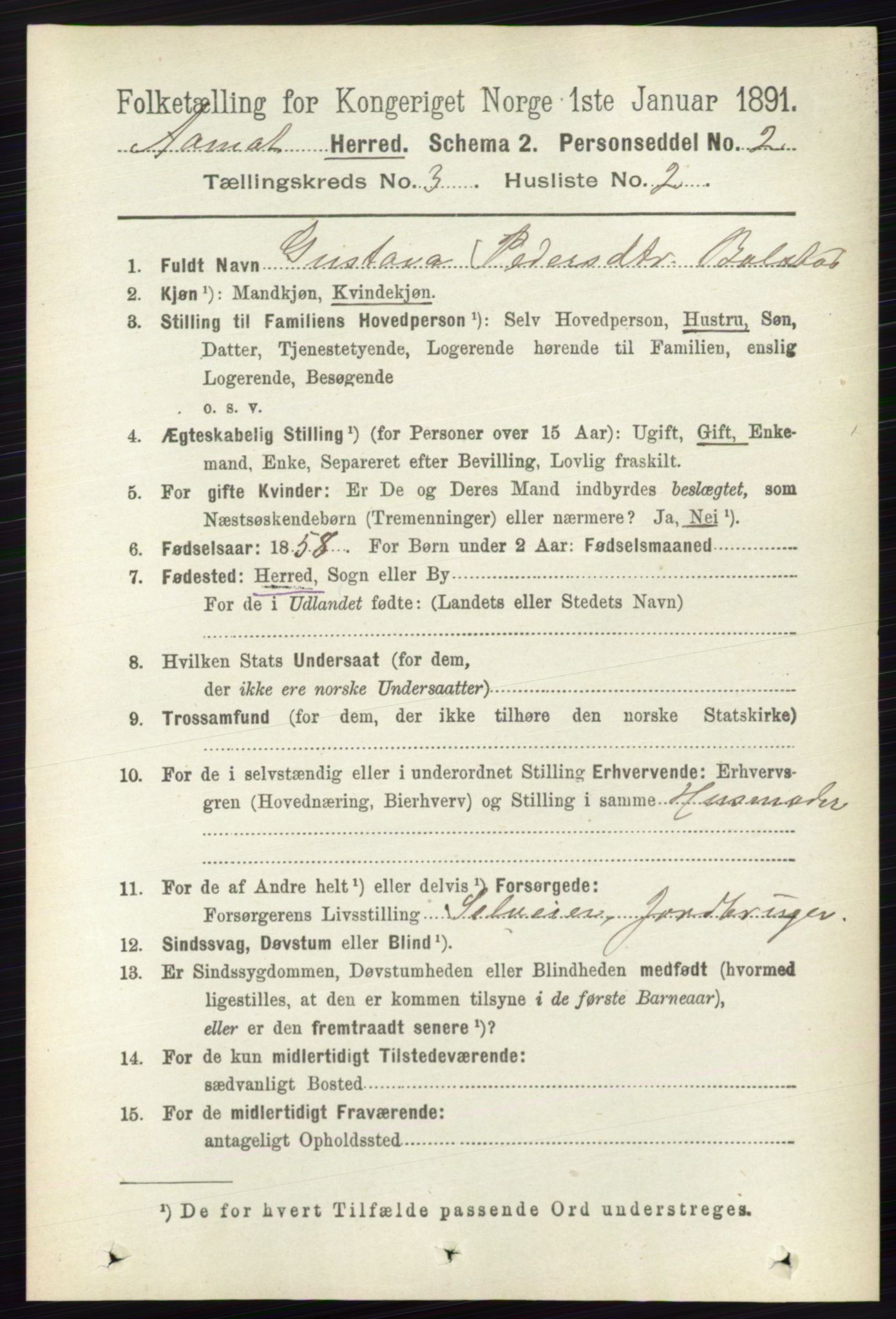 RA, 1891 census for 0429 Åmot, 1891, p. 1504