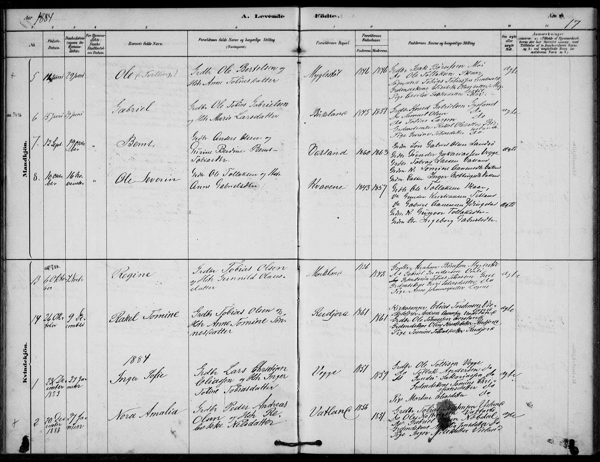 Lyngdal sokneprestkontor, SAK/1111-0029/F/Fa/Fab/L0003: Parish register (official) no. A 3, 1878-1903, p. 17
