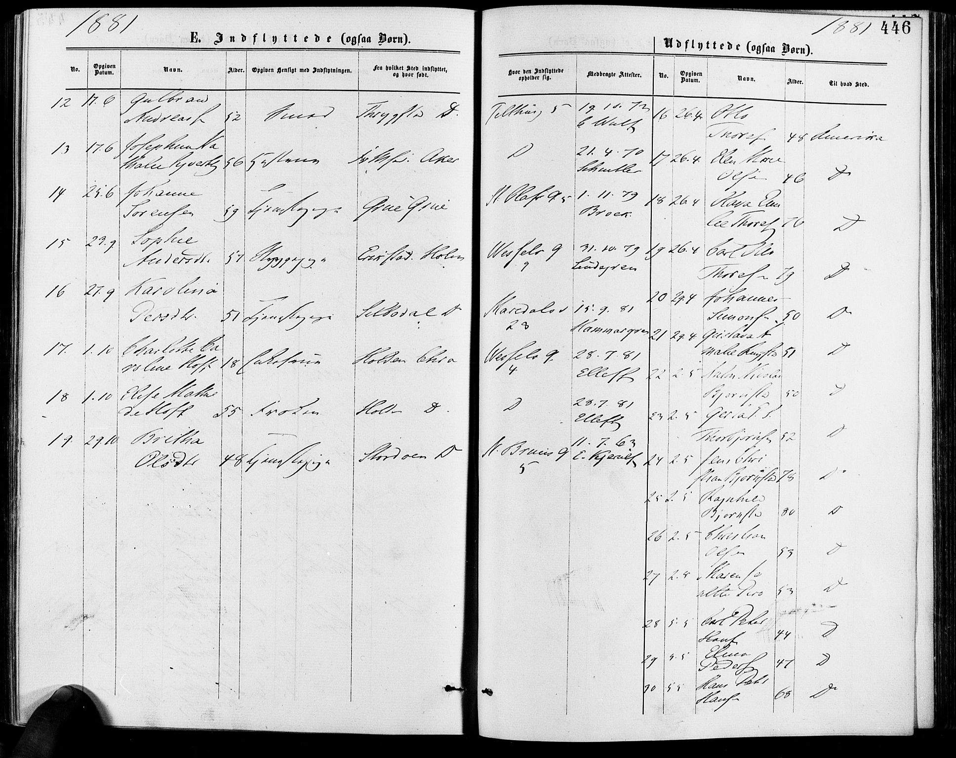 Gamle Aker prestekontor Kirkebøker, AV/SAO-A-10617a/F/L0005: Parish register (official) no. 5, 1873-1881, p. 446