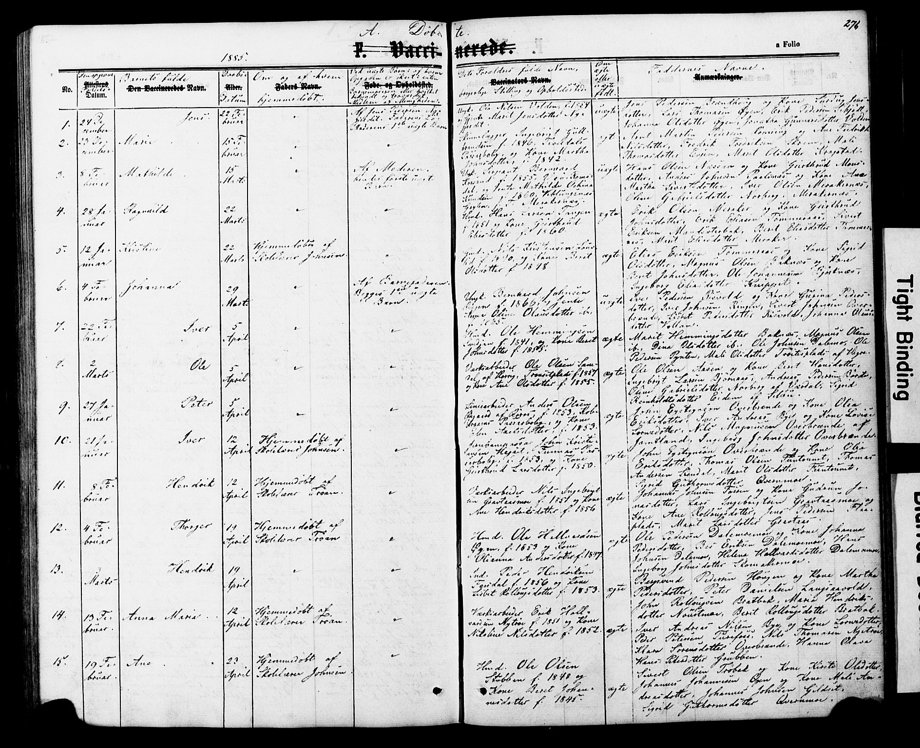 Ministerialprotokoller, klokkerbøker og fødselsregistre - Nord-Trøndelag, SAT/A-1458/706/L0049: Parish register (copy) no. 706C01, 1864-1895, p. 276