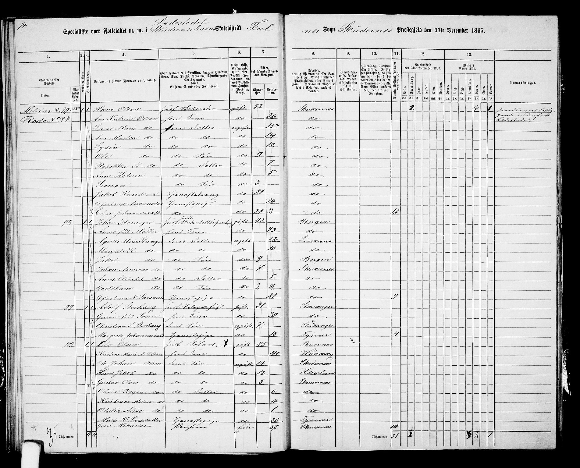 RA, 1865 census for Skudenes, 1865, p. 226