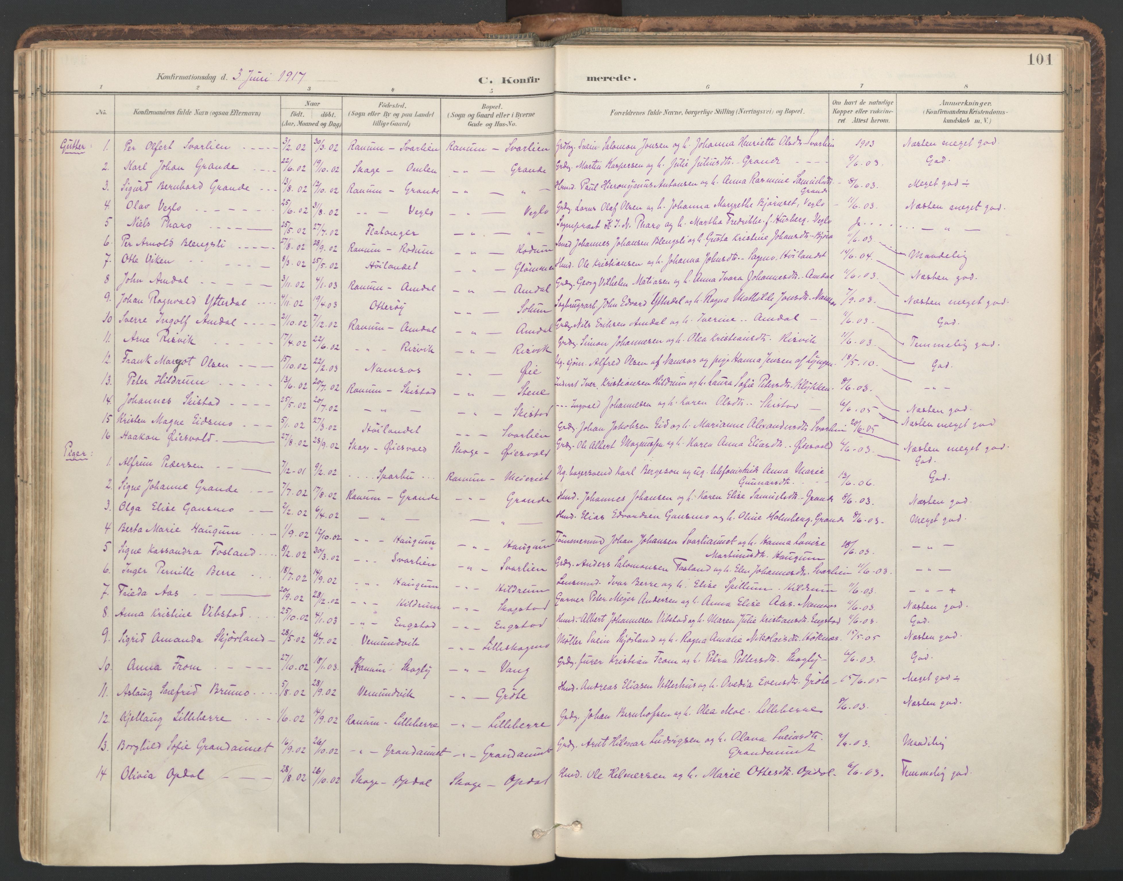 Ministerialprotokoller, klokkerbøker og fødselsregistre - Nord-Trøndelag, SAT/A-1458/764/L0556: Parish register (official) no. 764A11, 1897-1924, p. 101