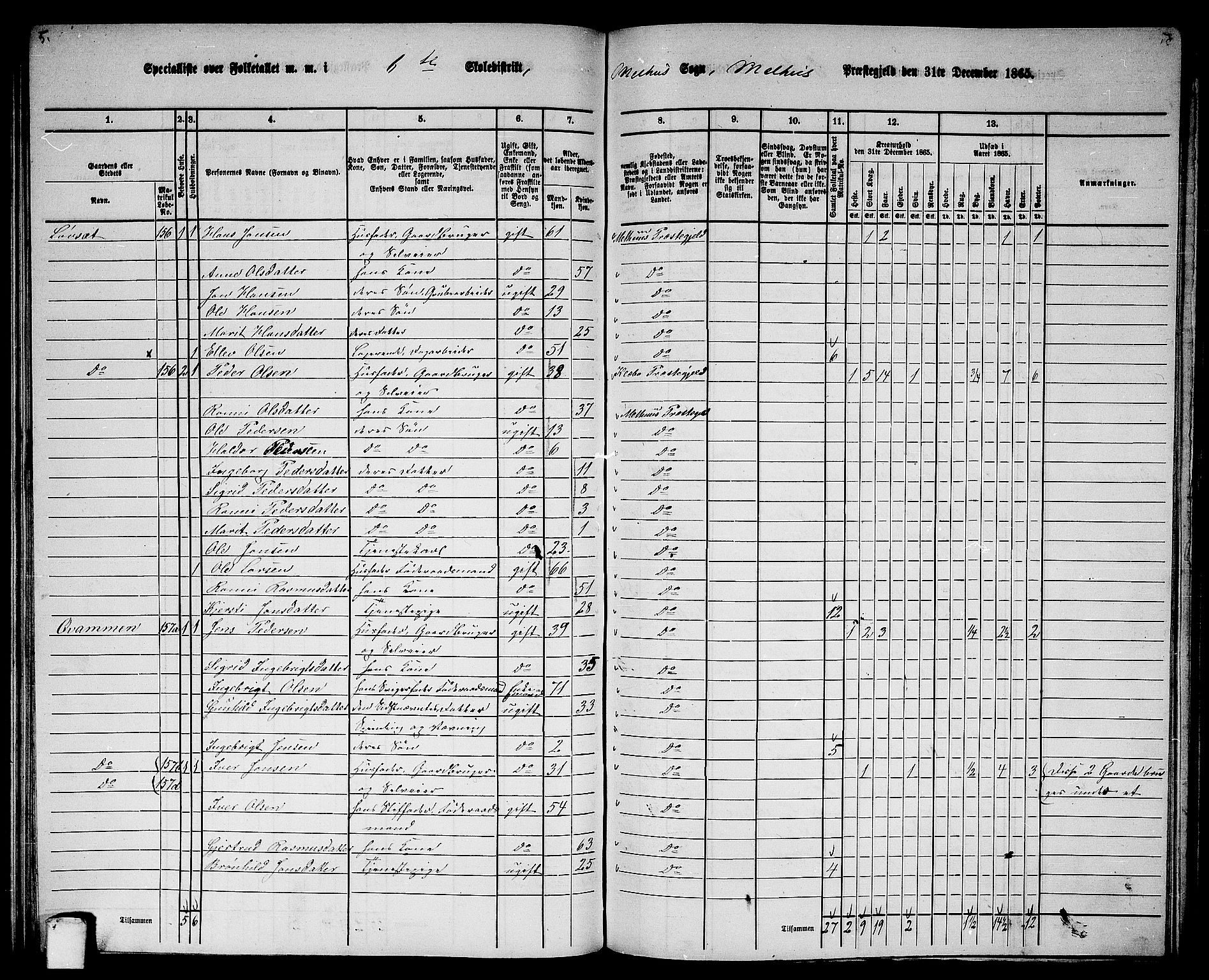 RA, 1865 census for Melhus, 1865, p. 114