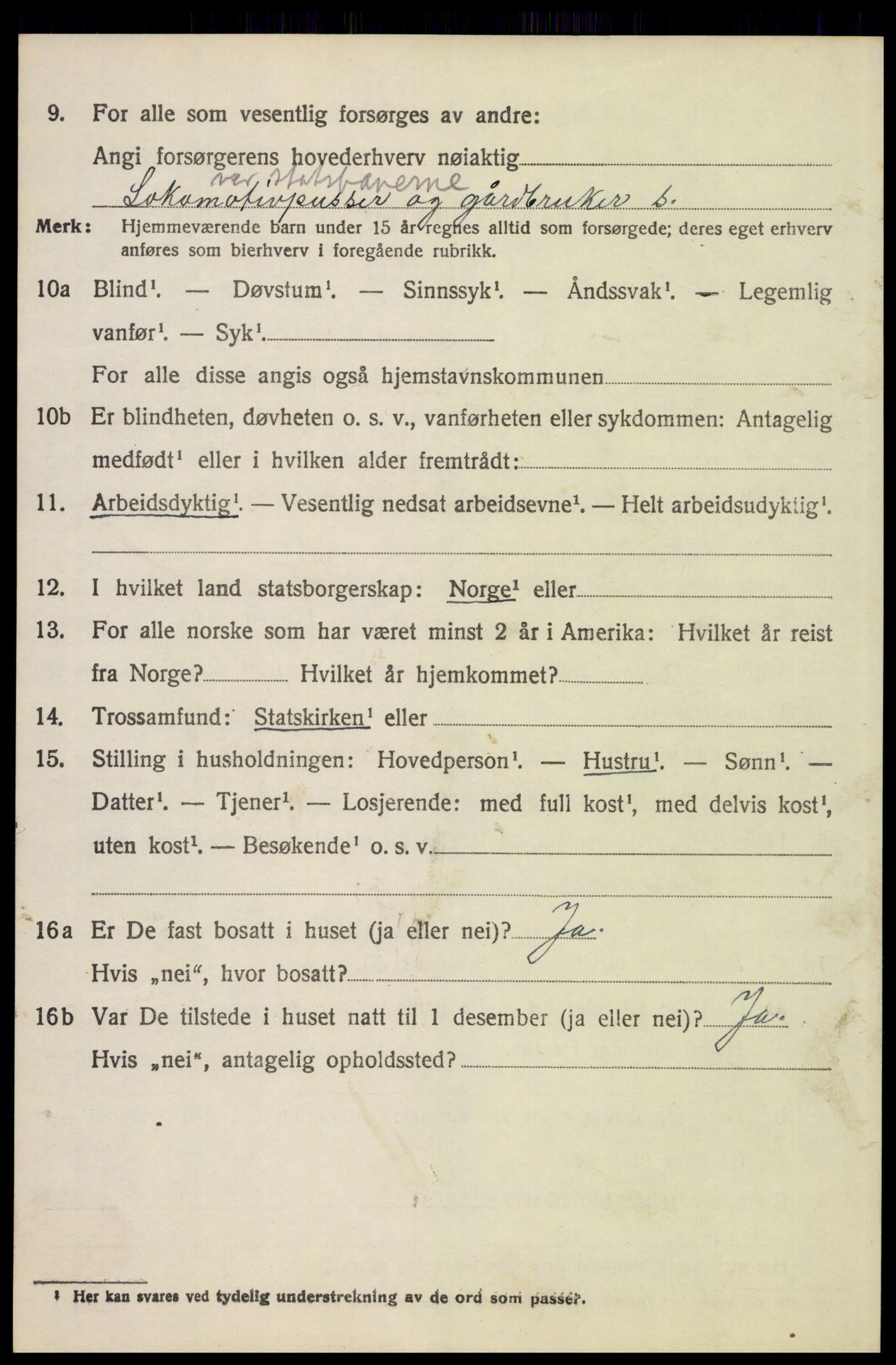 SAH, 1920 census for Tynset, 1920, p. 5619