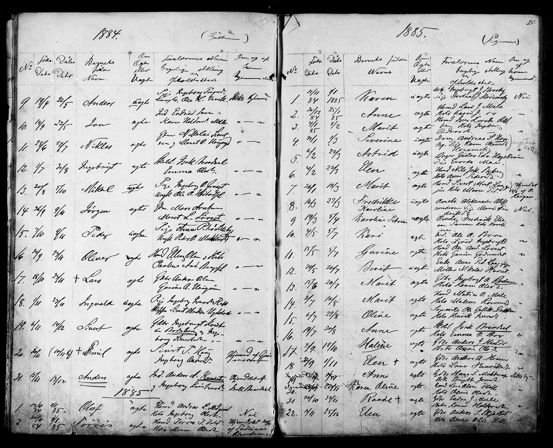 Ministerialprotokoller, klokkerbøker og fødselsregistre - Sør-Trøndelag, SAT/A-1456/612/L0387: Parish register (copy) no. 612C03, 1874-1908, p. 25