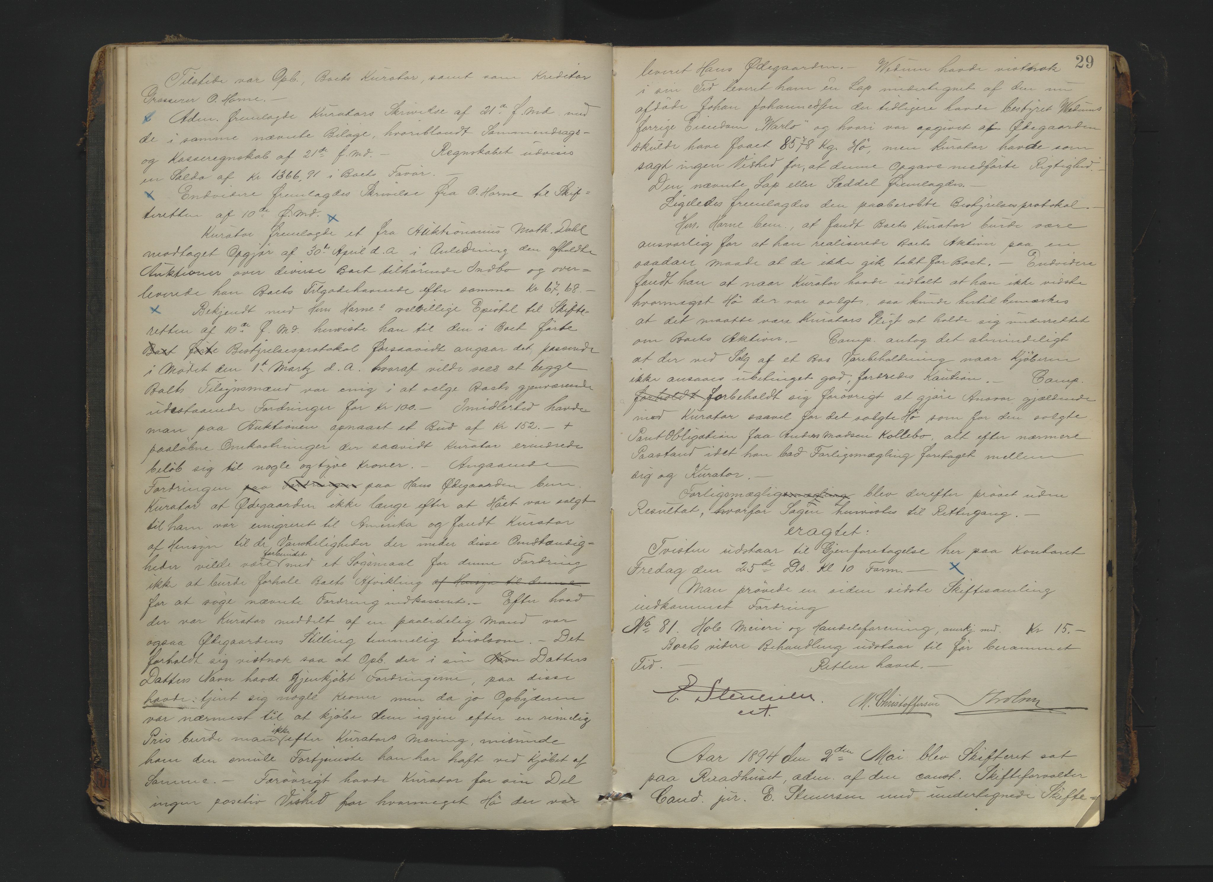 Drammen byfogd, AV/SAKO-A-222/H/Hb/Hbc/L0017: Skifteforhandlingsprotokoll. - Drammen., 1894-1897, p. 29