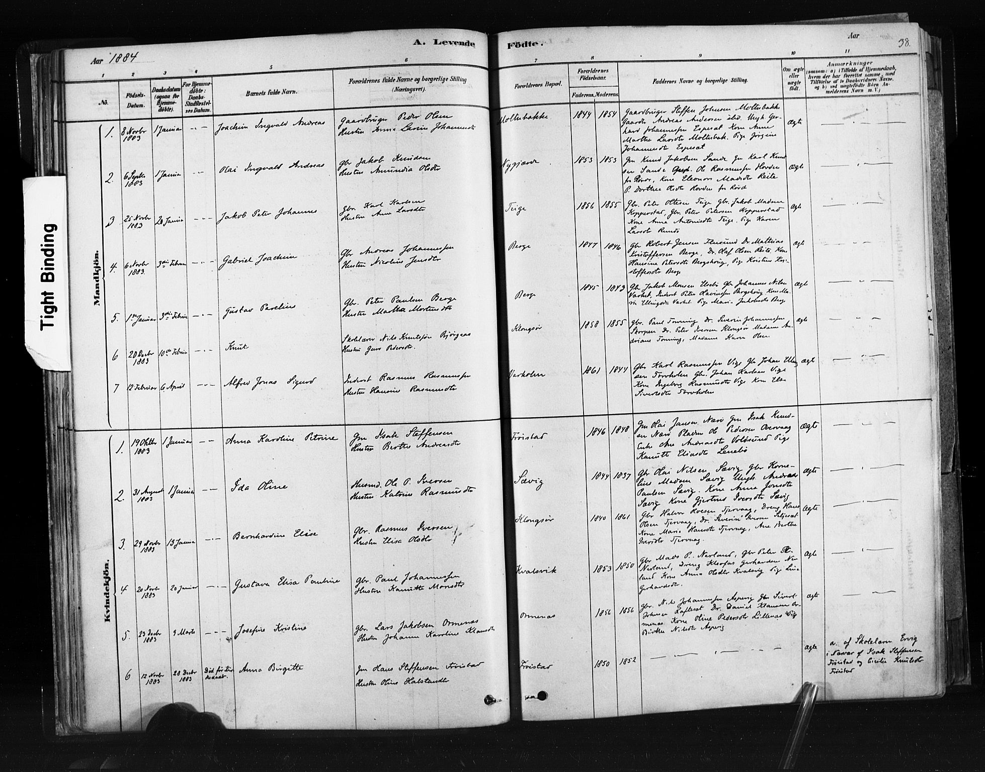 Ministerialprotokoller, klokkerbøker og fødselsregistre - Møre og Romsdal, SAT/A-1454/507/L0073: Parish register (official) no. 507A08, 1878-1904, p. 38