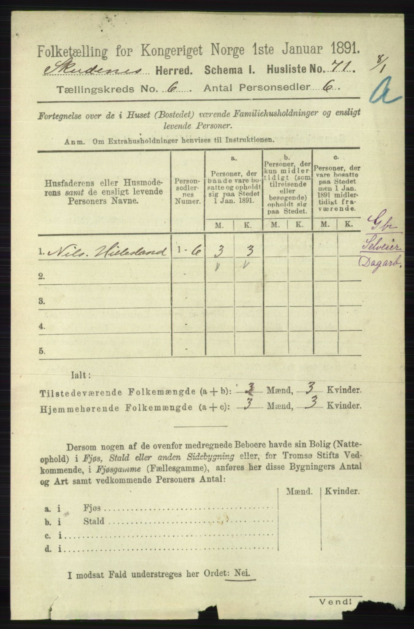 RA, 1891 census for 1150 Skudenes, 1891, p. 2980