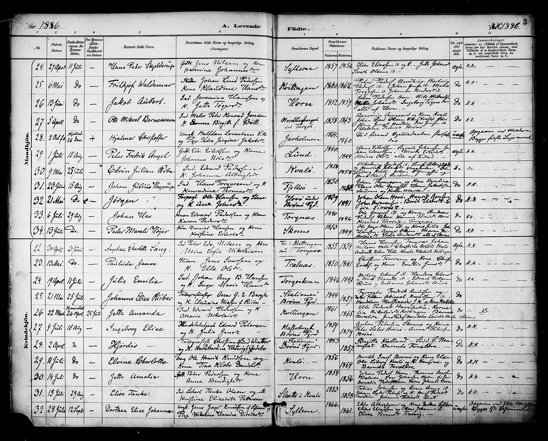 Ministerialprotokoller, klokkerbøker og fødselsregistre - Nordland, SAT/A-1459/813/L0200: Parish register (official) no. 813A10, 1886-1900, p. 3