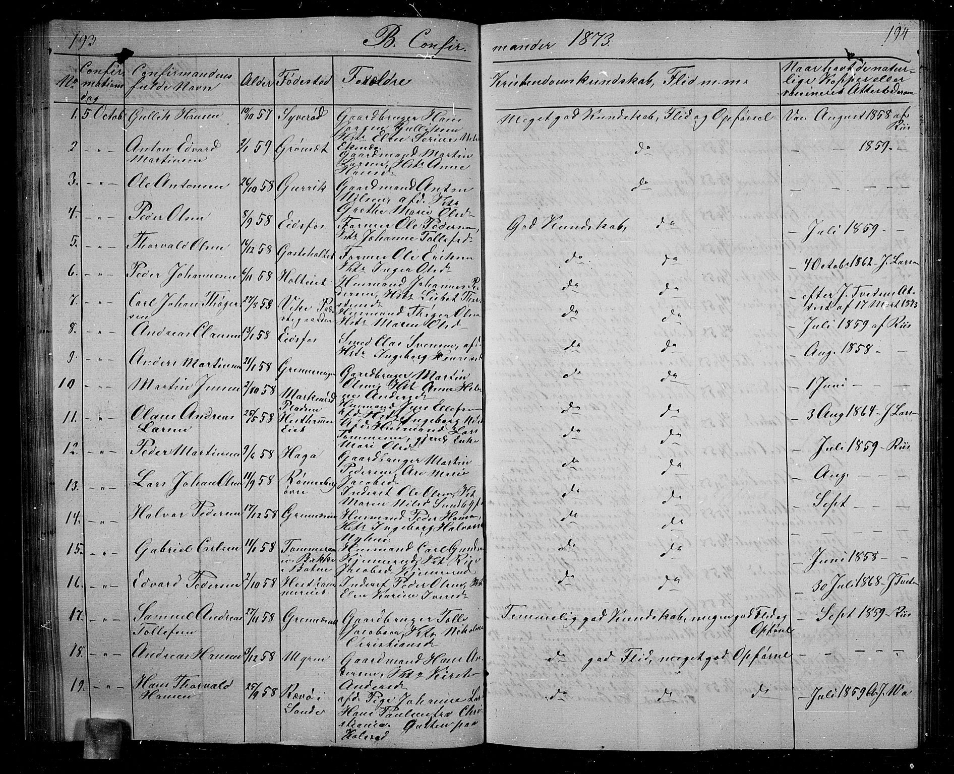 Hof kirkebøker, SAKO/A-64/G/Ga/L0002: Parish register (copy) no. I 2, 1859-1873, p. 193-194