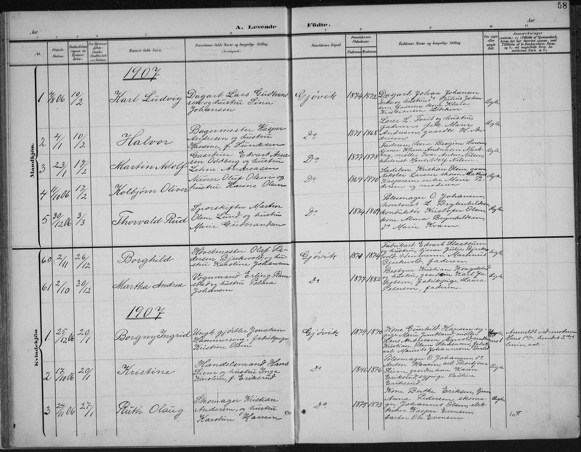 Vardal prestekontor, AV/SAH-PREST-100/H/Ha/Haa/L0013: Parish register (official) no. 13, 1901-1911, p. 58