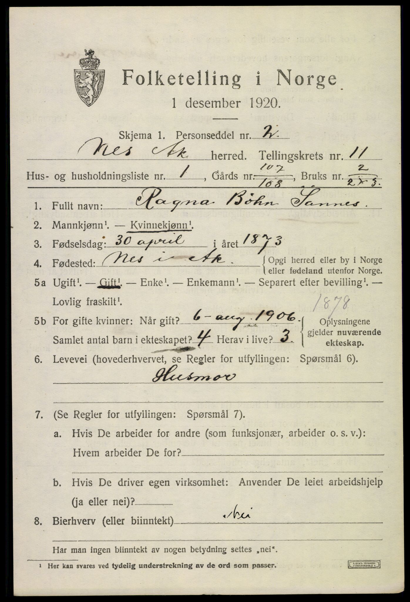 SAO, 1920 census for Nes, 1920, p. 11390