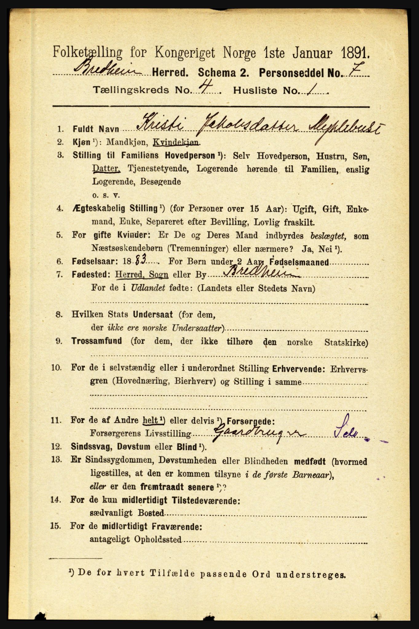 RA, 1891 census for 1446 Breim, 1891, p. 1308