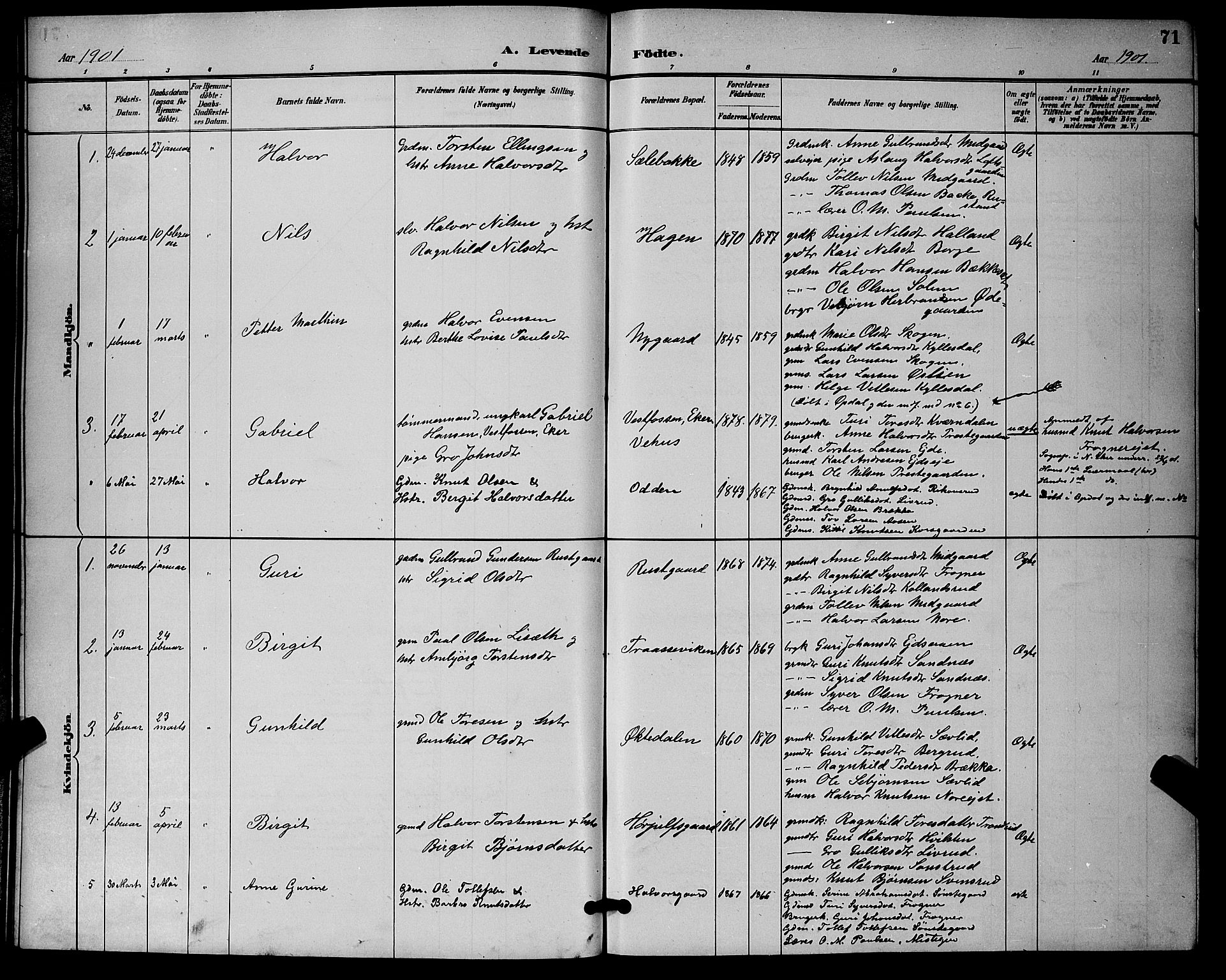 Nore kirkebøker, SAKO/A-238/G/Ga/L0003: Parish register (copy) no. I 3, 1886-1903, p. 71