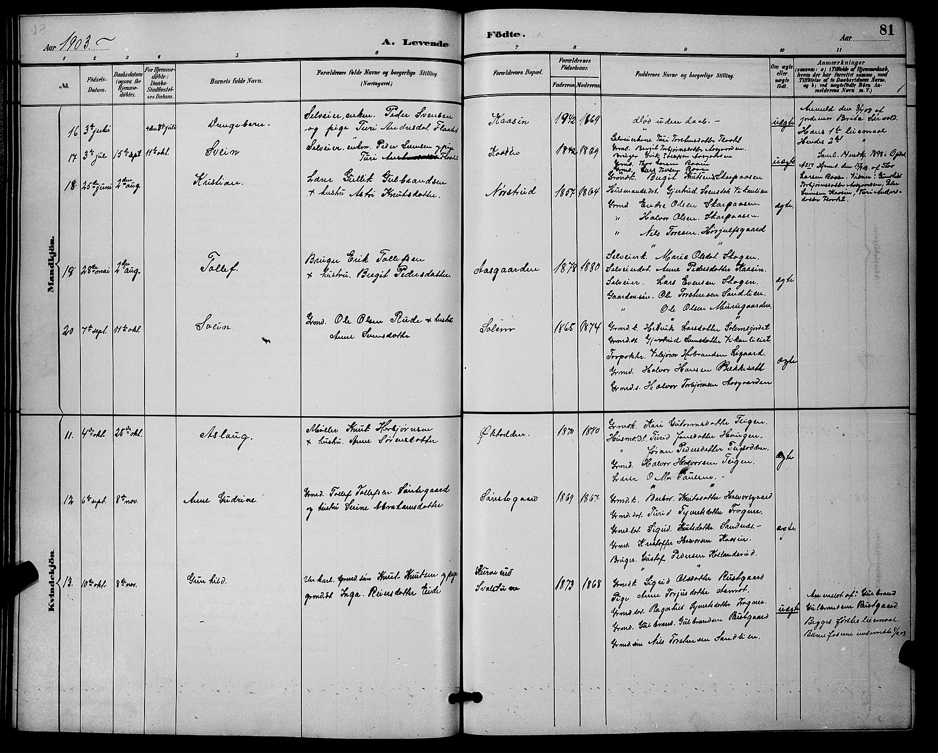 Nore kirkebøker, SAKO/A-238/G/Ga/L0003: Parish register (copy) no. I 3, 1886-1903, p. 81