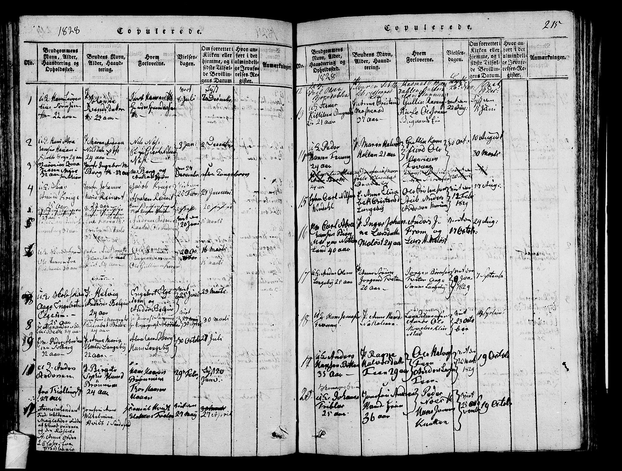 Sandar kirkebøker, SAKO/A-243/G/Ga/L0001: Parish register (copy) no. 1, 1814-1835, p. 215