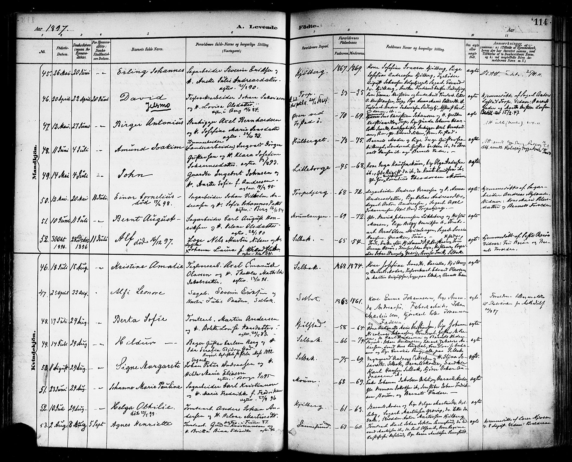 Borge prestekontor Kirkebøker, AV/SAO-A-10903/F/Fa/L0008: Parish register (official) no. I 8A, 1887-1902, p. 114