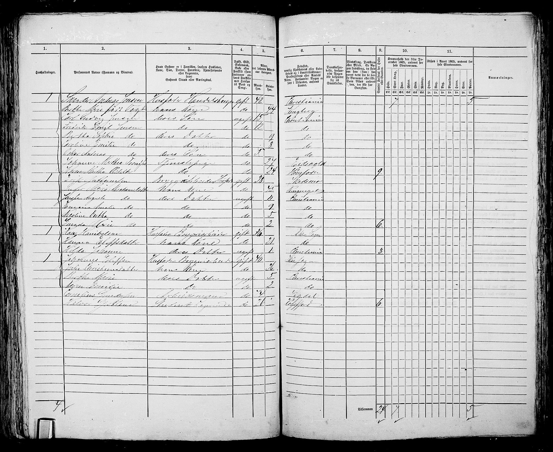 RA, 1865 census for Kristiania, 1865, p. 5215