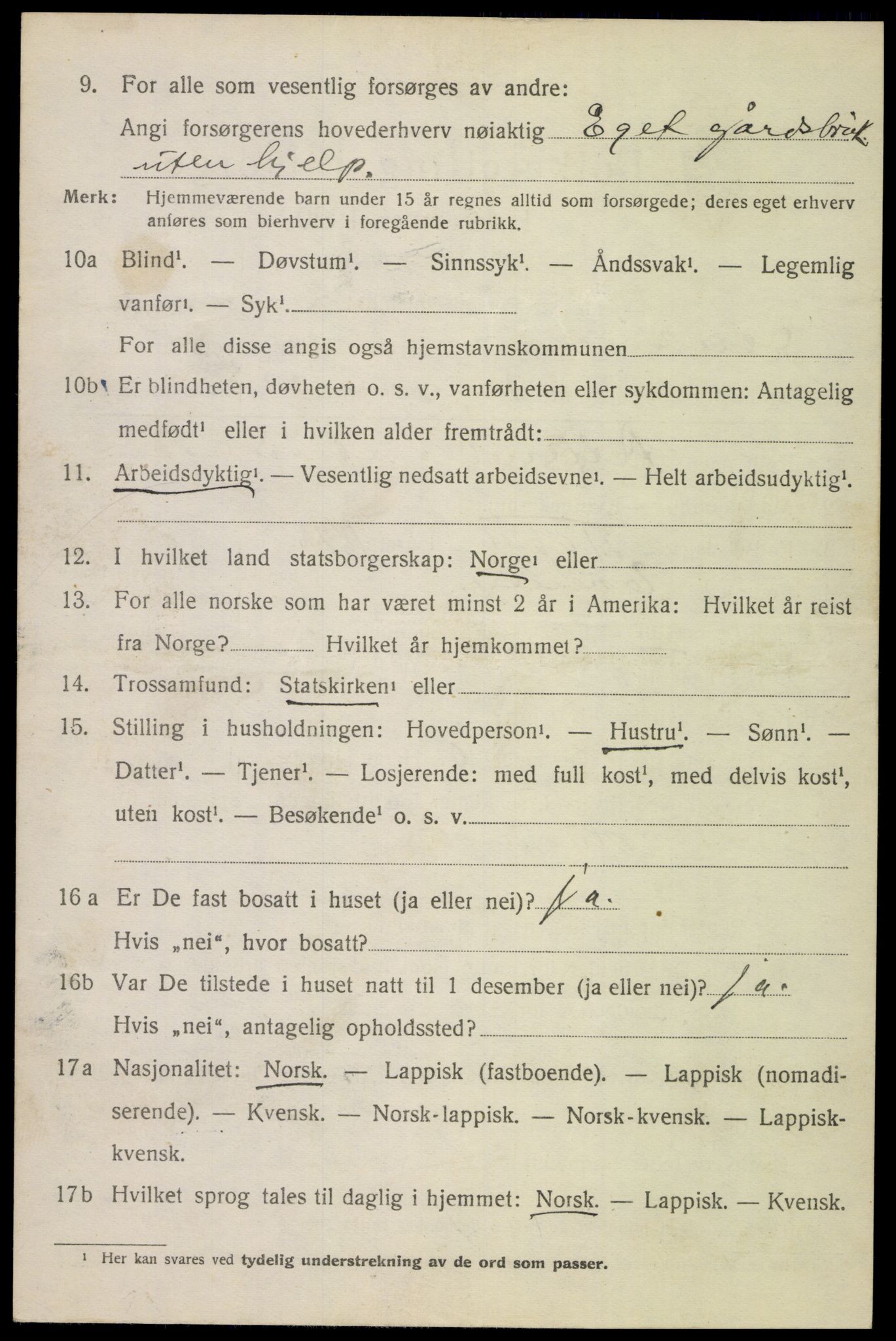 SAT, 1920 census for Ankenes, 1920, p. 1212