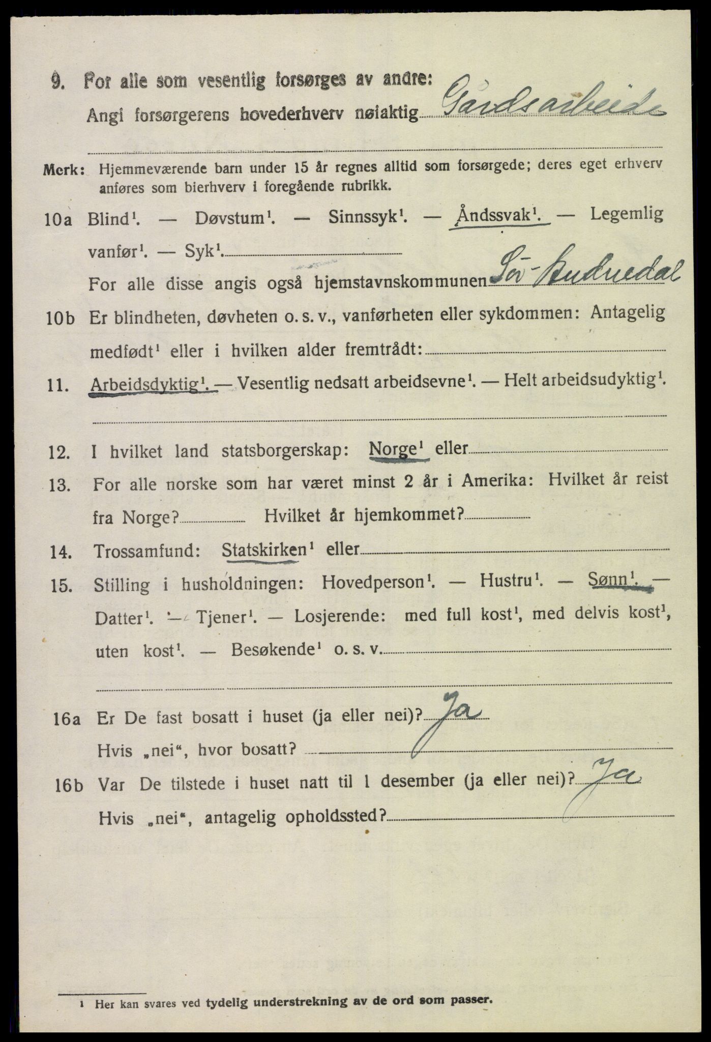 SAK, 1920 census for Sør-Audnedal, 1920, p. 4520