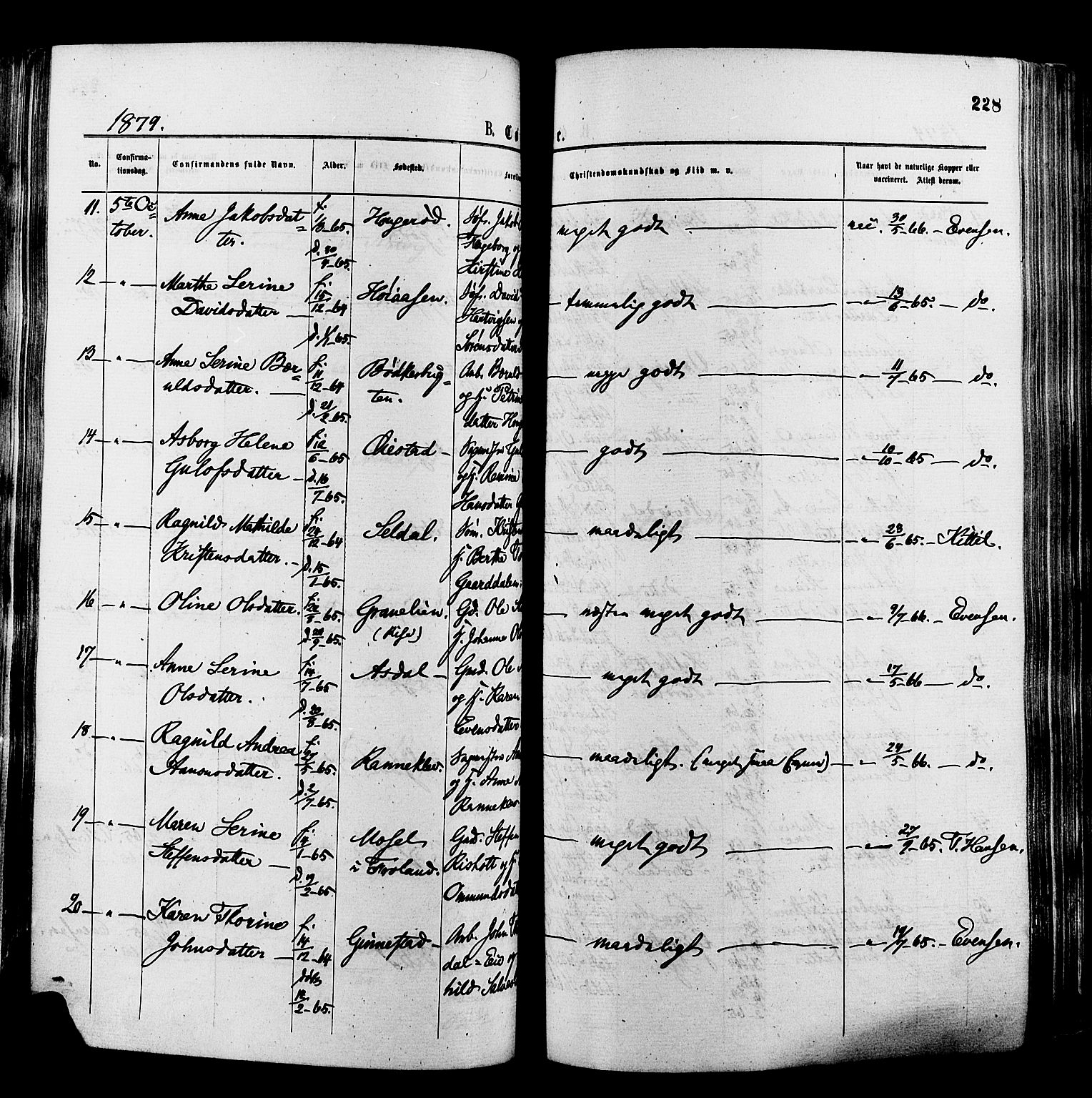 Øyestad sokneprestkontor, AV/SAK-1111-0049/F/Fa/L0016: Parish register (official) no. A 16, 1874-1886, p. 228