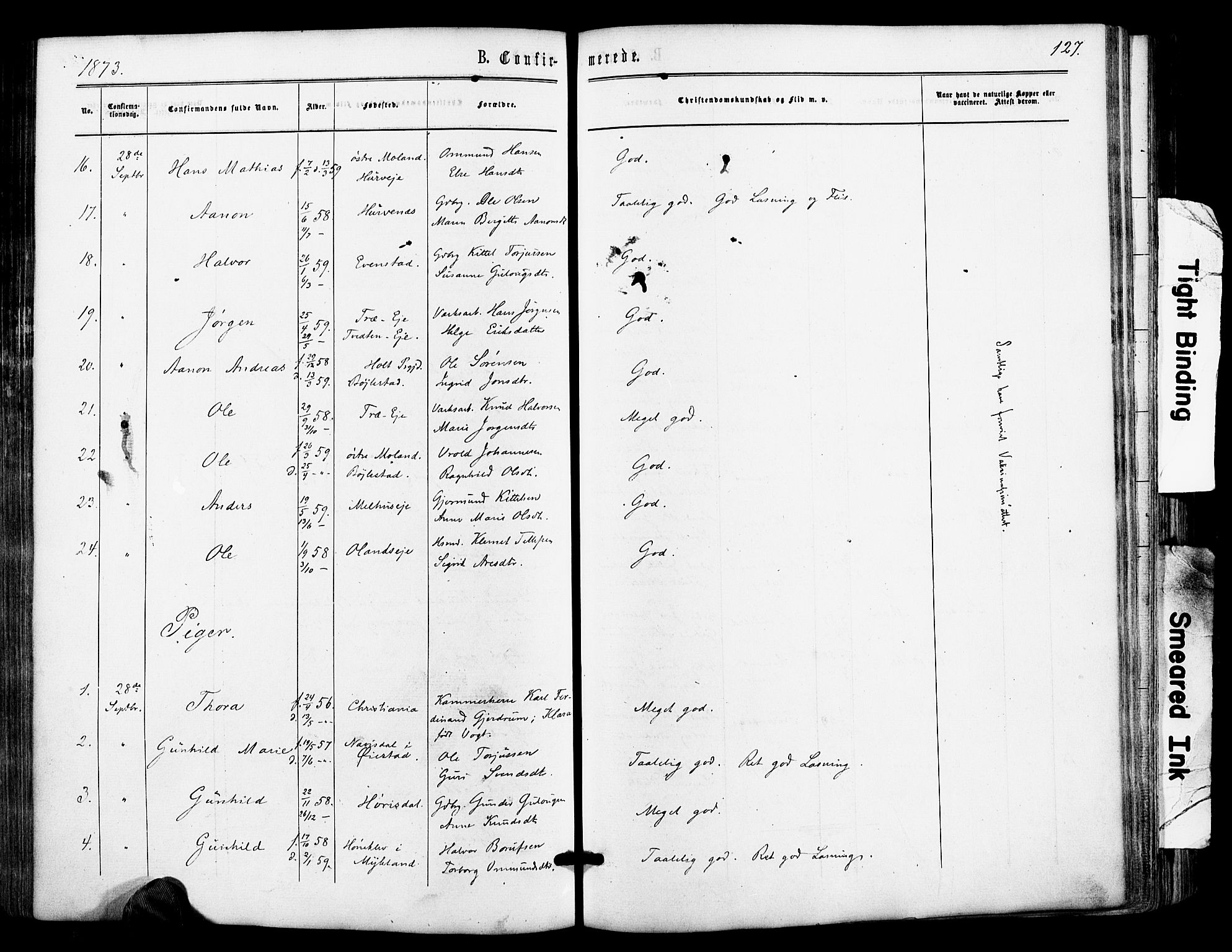 Froland sokneprestkontor, AV/SAK-1111-0013/F/Fa/L0003: Parish register (official) no. A 3, 1864-1881, p. 127