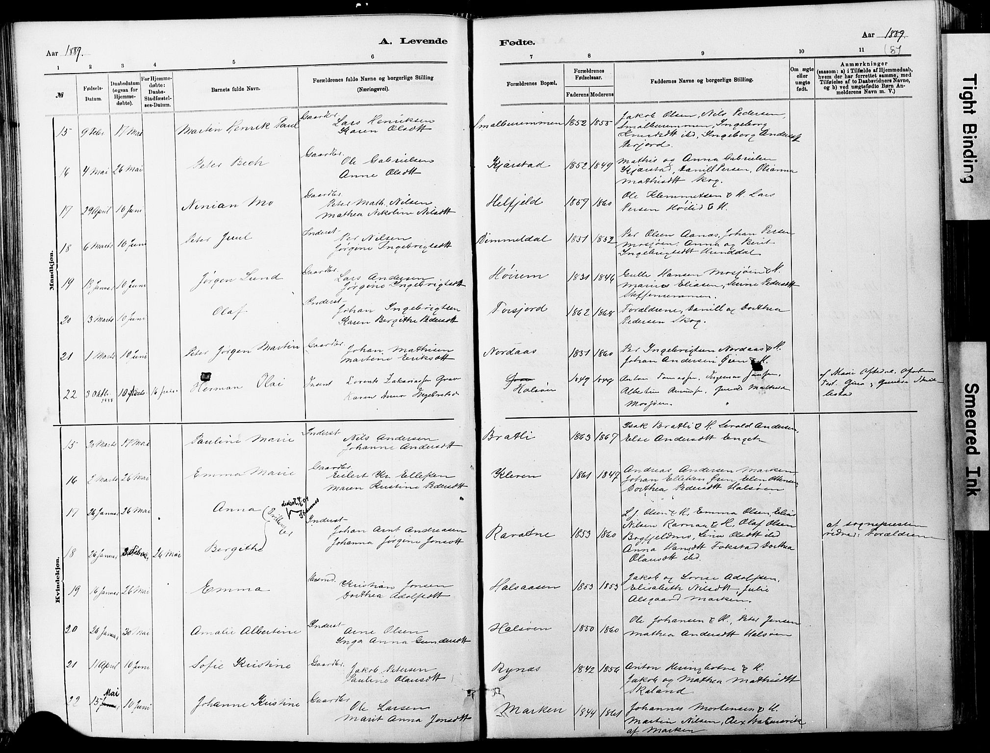 Ministerialprotokoller, klokkerbøker og fødselsregistre - Nordland, AV/SAT-A-1459/820/L0295: Parish register (official) no. 820A16, 1880-1896, p. 81