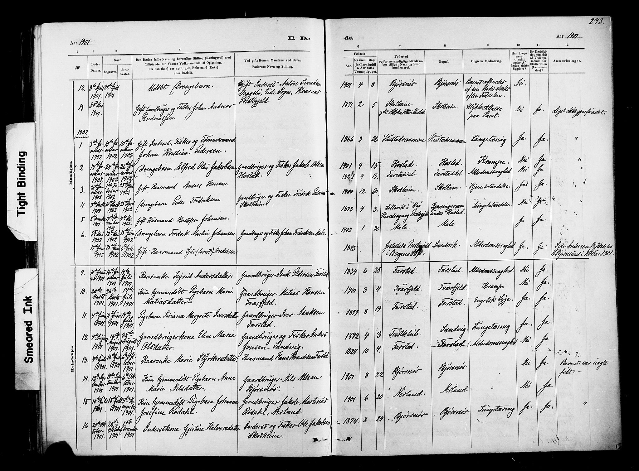 Ministerialprotokoller, klokkerbøker og fødselsregistre - Møre og Romsdal, AV/SAT-A-1454/567/L0778: Parish register (official) no. 567A01, 1881-1903, p. 273