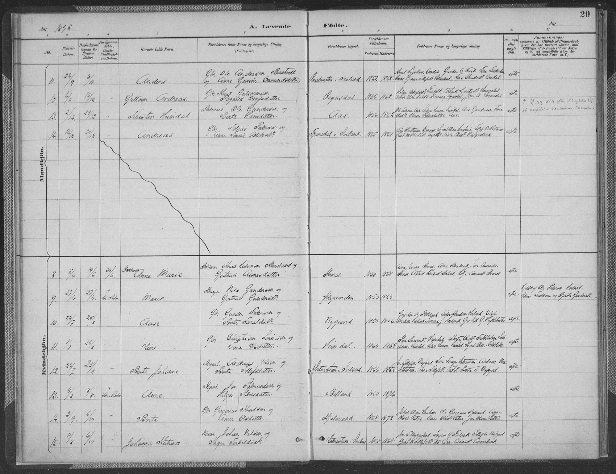 Herefoss sokneprestkontor, AV/SAK-1111-0019/F/Fa/Fab/L0004: Parish register (official) no. A 4, 1887-1909, p. 20