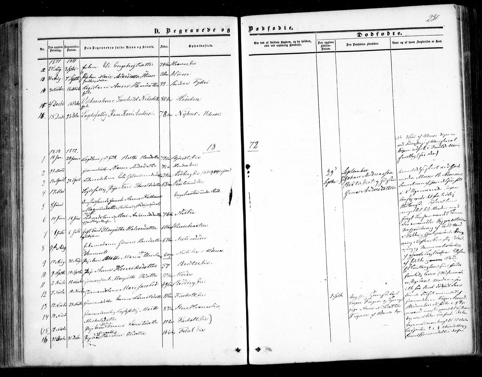 Nes prestekontor Kirkebøker, AV/SAO-A-10410/F/Fc/L0001: Parish register (official) no. III 1, 1859-1882, p. 250