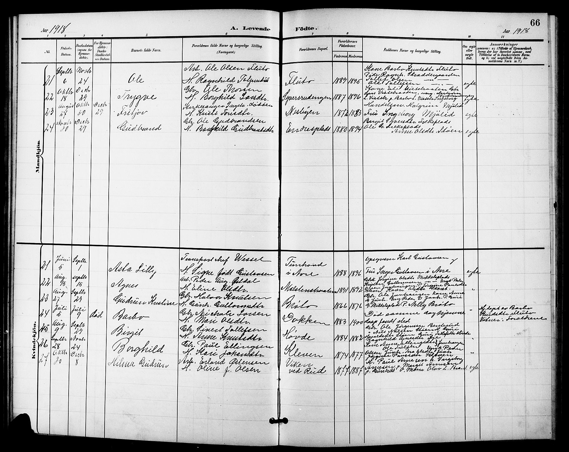 Nes kirkebøker, AV/SAKO-A-236/G/Ga/L0004: Parish register (copy) no. I 4, 1900-1925, p. 66