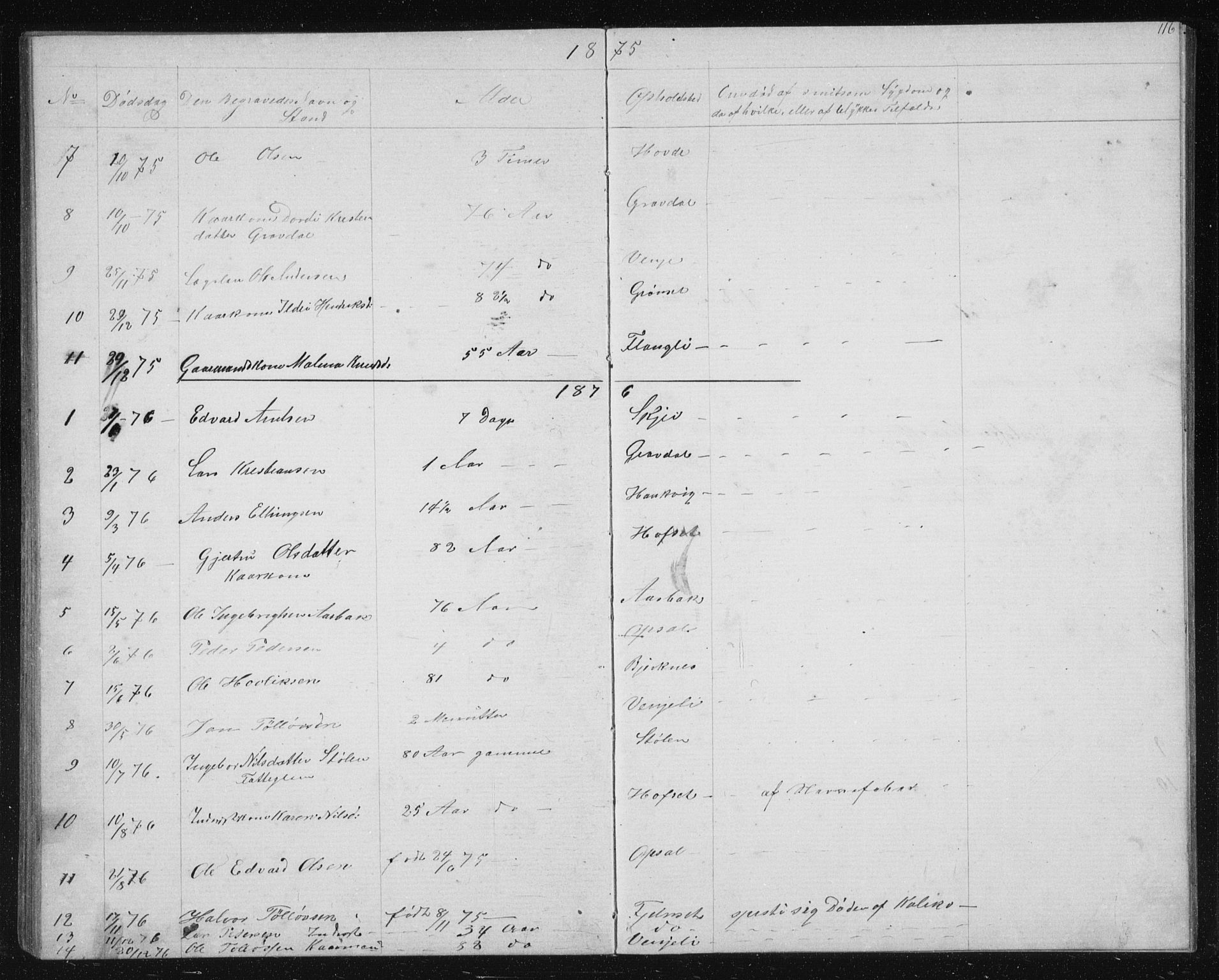 Ministerialprotokoller, klokkerbøker og fødselsregistre - Sør-Trøndelag, AV/SAT-A-1456/631/L0513: Parish register (copy) no. 631C01, 1869-1879, p. 116