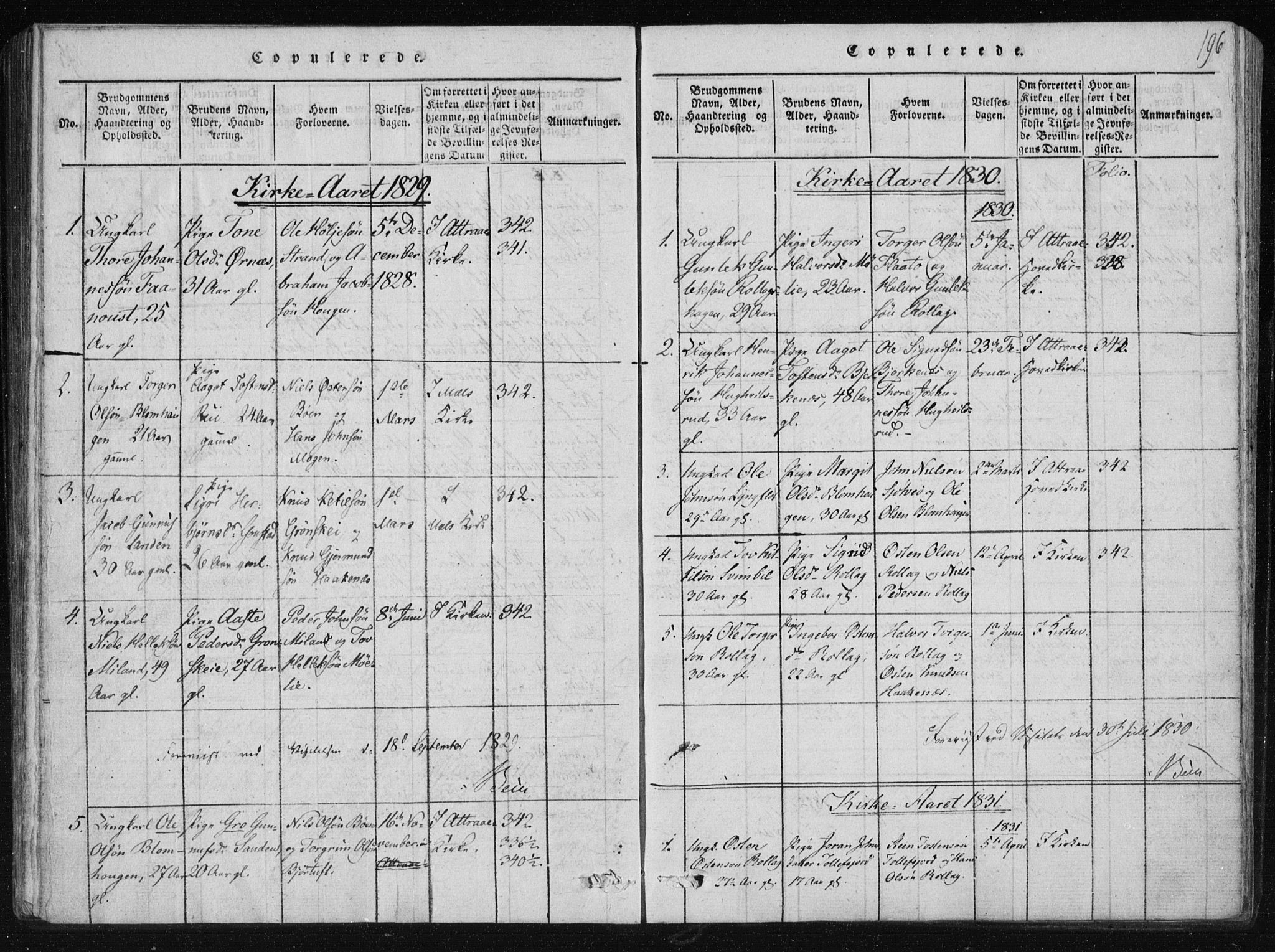 Tinn kirkebøker, SAKO/A-308/F/Fb/L0001: Parish register (official) no. II 1, 1815-1843, p. 196