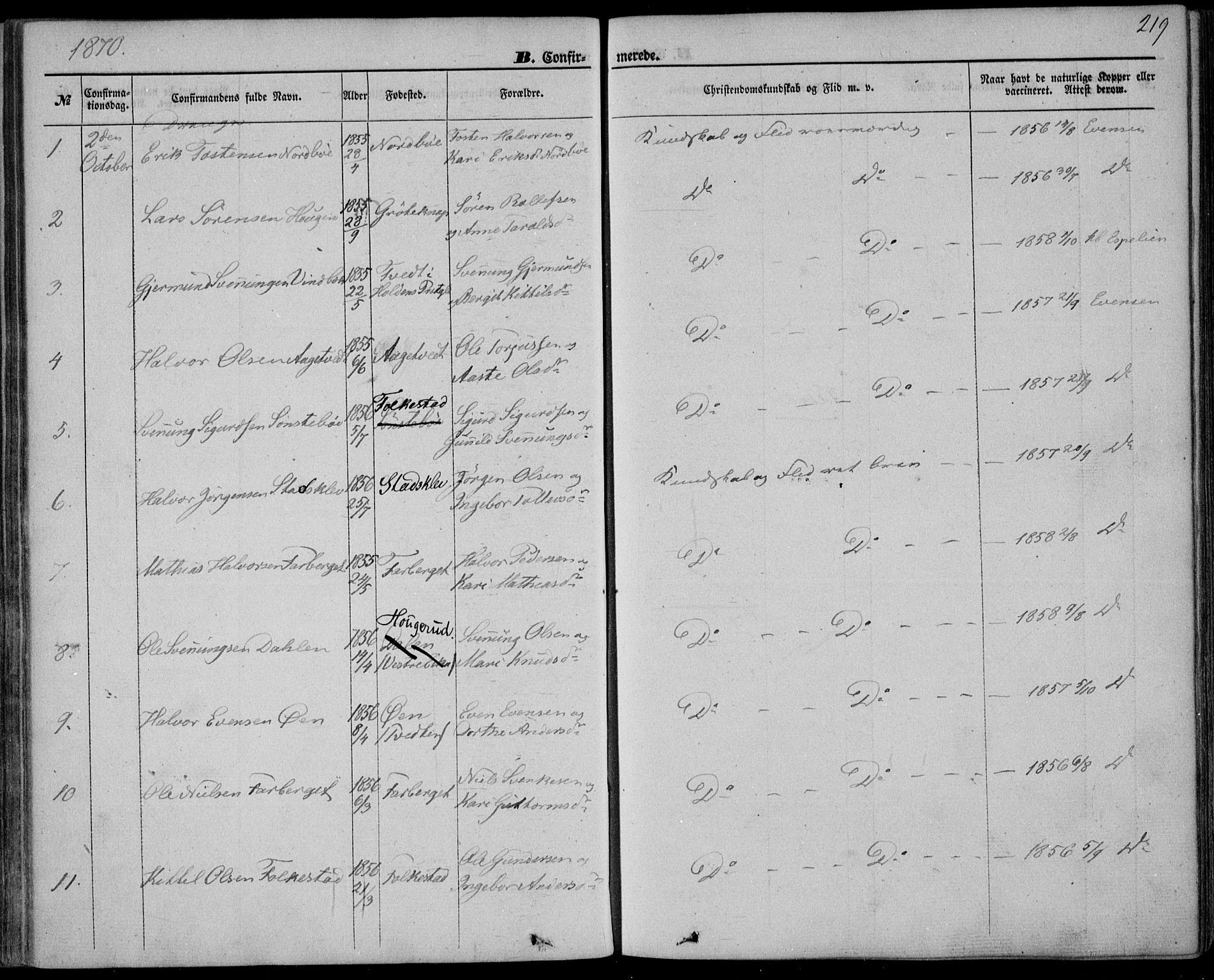 Bø kirkebøker, SAKO/A-257/F/Fa/L0009: Parish register (official) no. 9, 1862-1879, p. 219