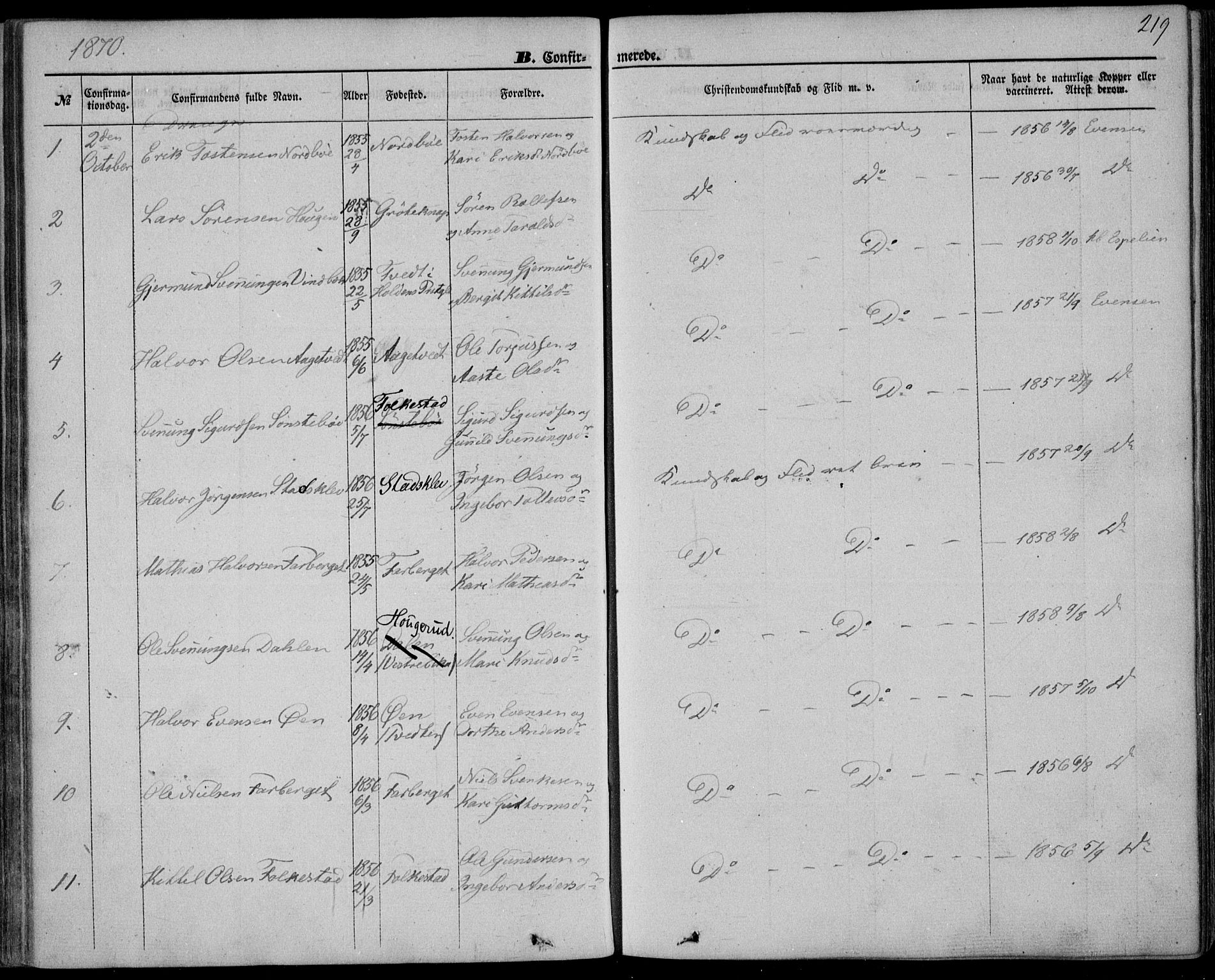Bø kirkebøker, AV/SAKO-A-257/F/Fa/L0009: Parish register (official) no. 9, 1862-1879, p. 219