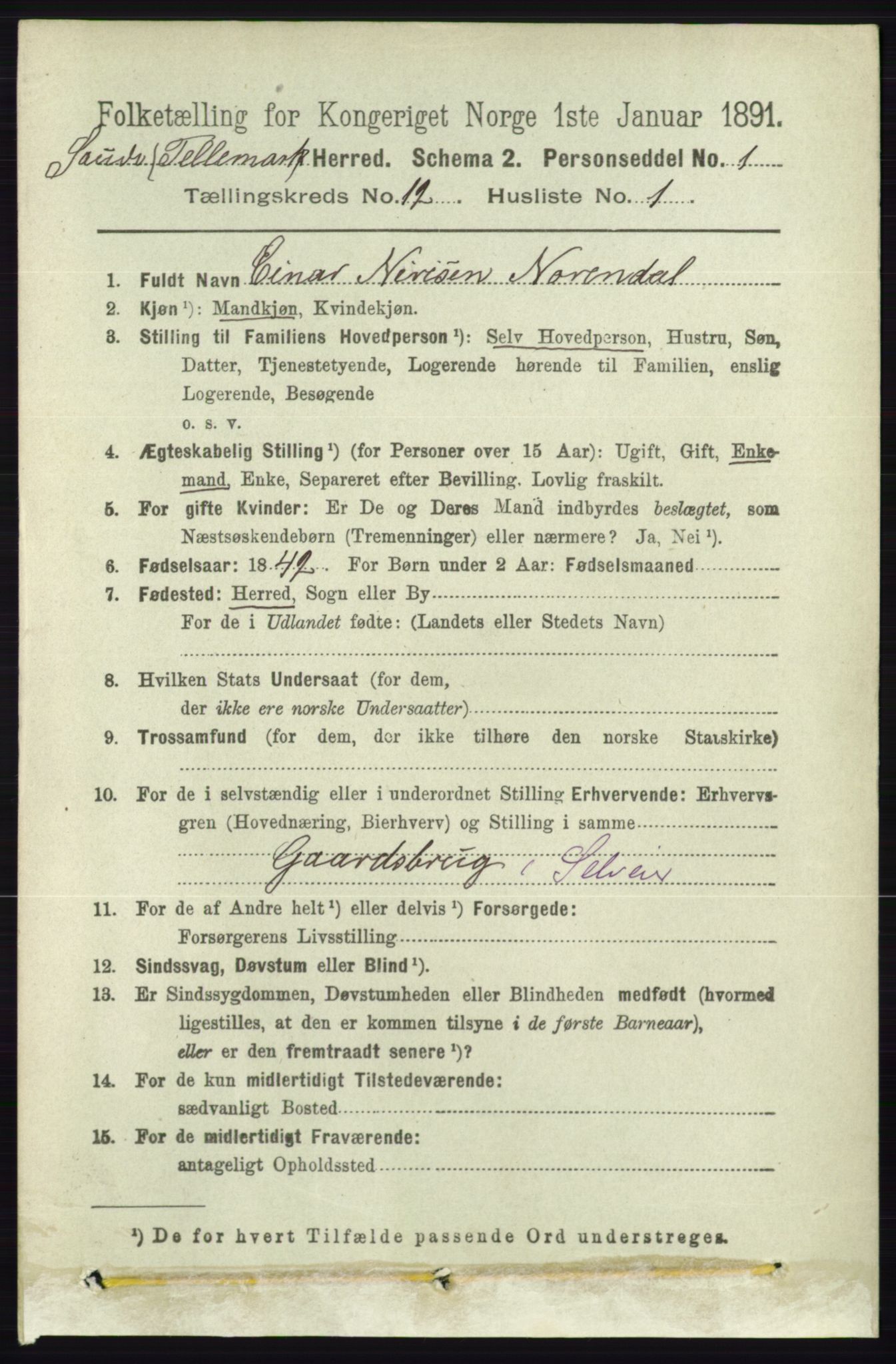 RA, 1891 census for 0822 Sauherad, 1891, p. 3621