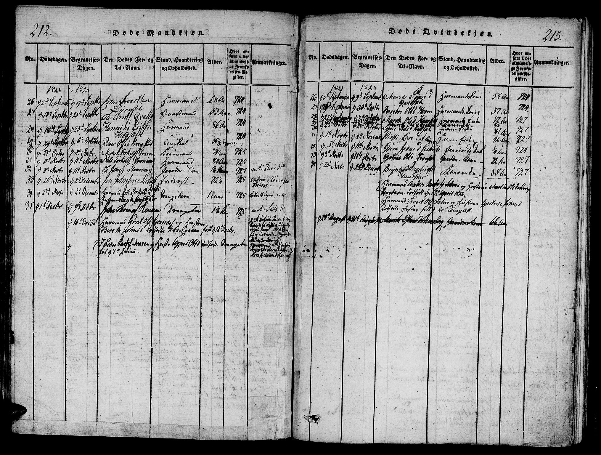 Ministerialprotokoller, klokkerbøker og fødselsregistre - Sør-Trøndelag, SAT/A-1456/695/L1141: Parish register (official) no. 695A04 /1, 1816-1824, p. 212-213